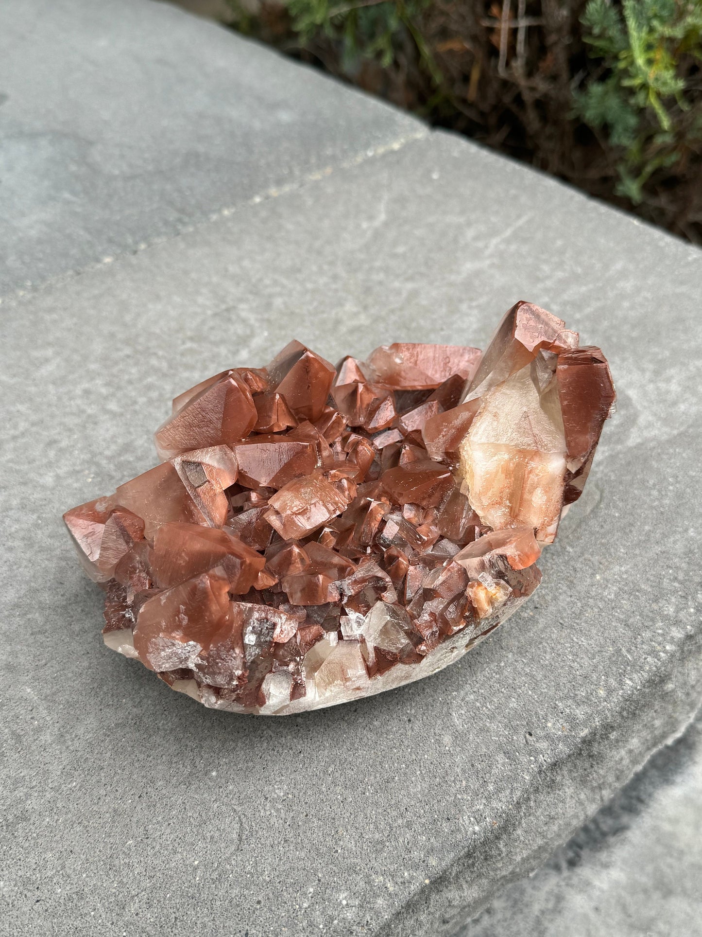 XL "Chocolate" Dogtooth Calcite Specimen