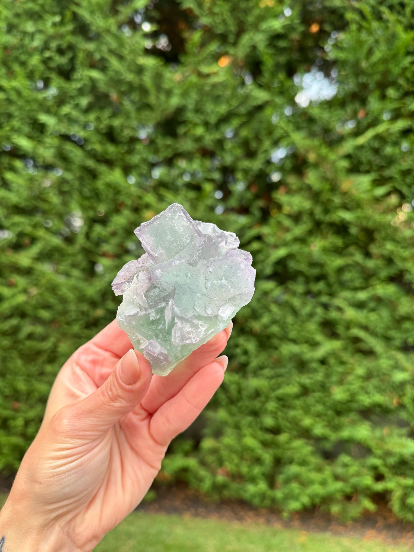 Green & Purple Fluorite Cubic Specimen (Hunan, China)