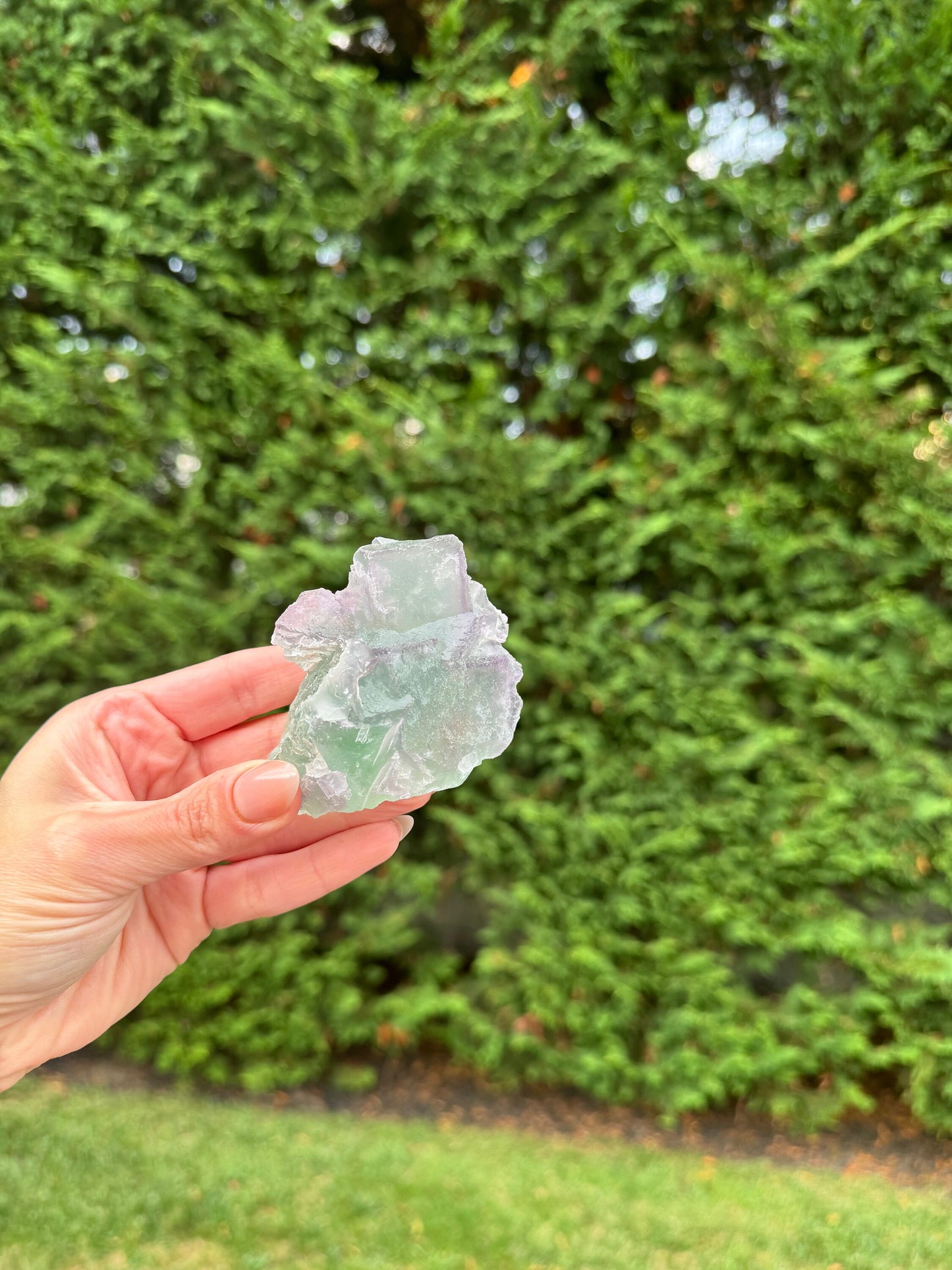 Green & Purple Fluorite Cubic Specimen (Hunan, China)