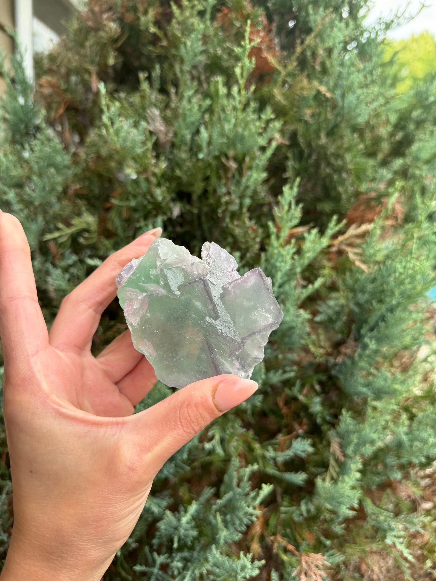 Green & Purple Fluorite Cubic Specimen (Hunan, China)
