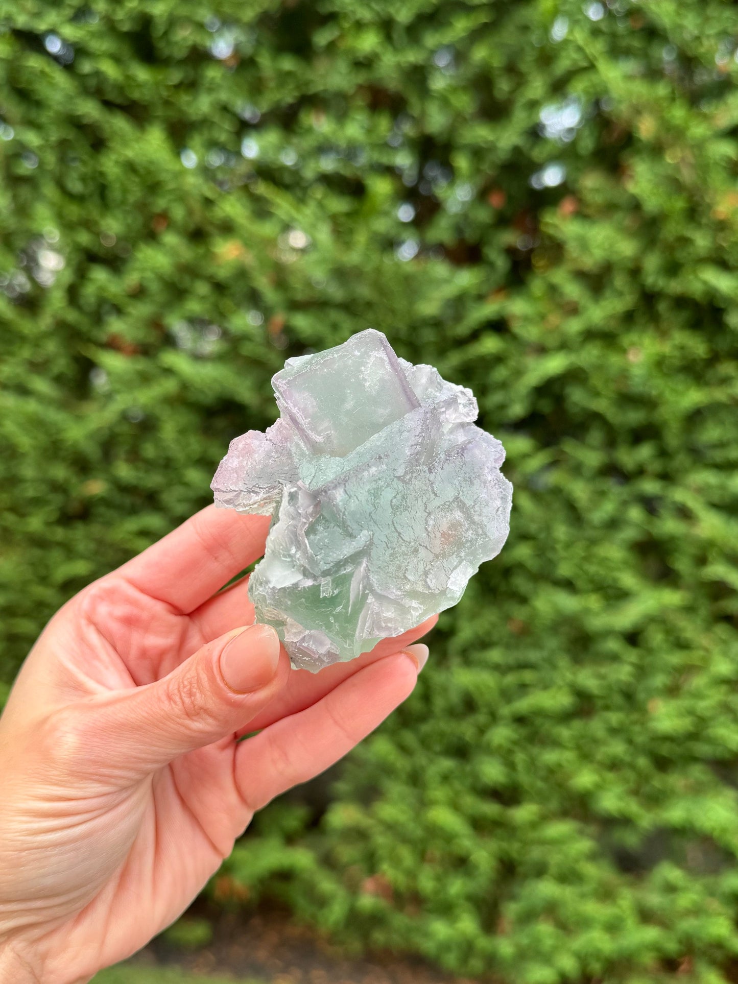 Green & Purple Fluorite Cubic Specimen (Hunan, China)