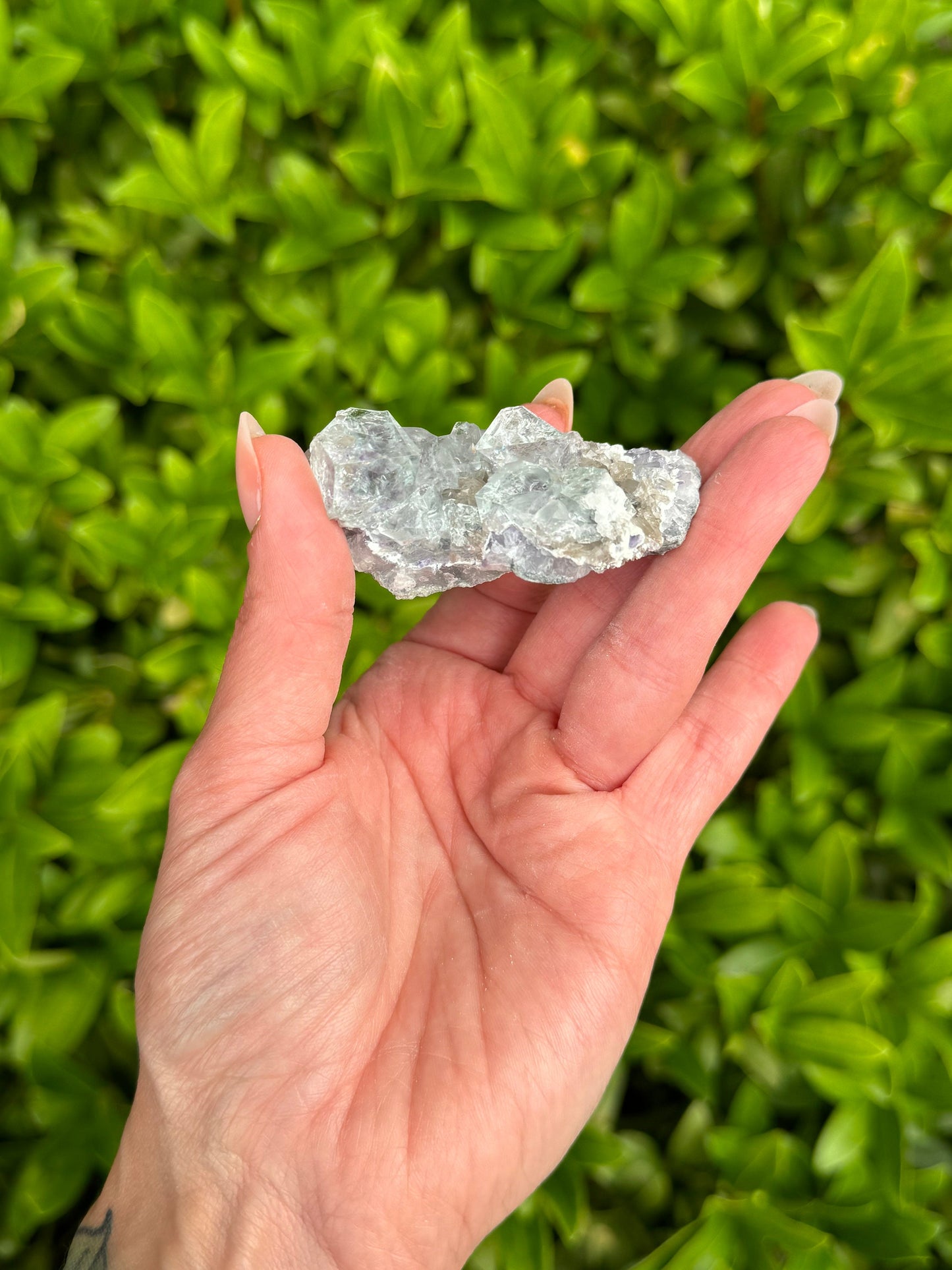 Blue & Purple Fluorite Cubic Specimen (Zhejiang, Hangzhou, China)