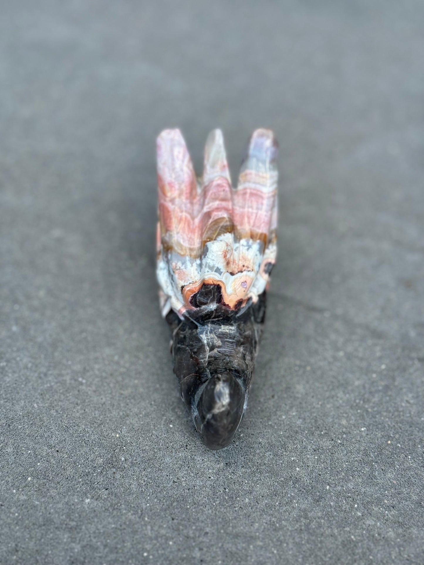 Mexican Crazy Lace Agate Dragon Head Carving
