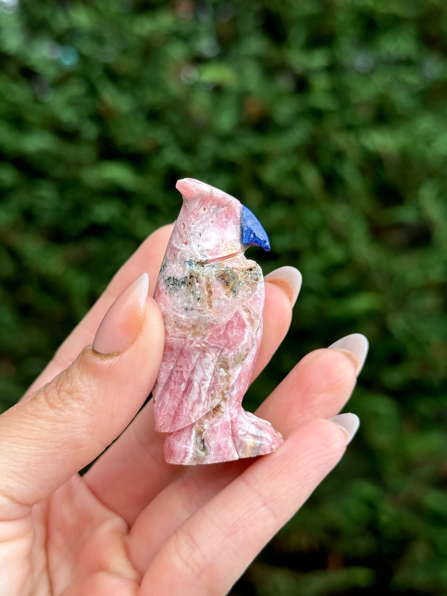 Rhodochrosite Owl Carving w/ Sodalite Beak