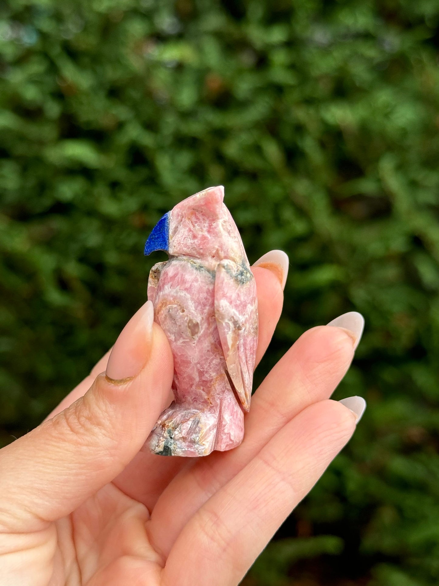 Rhodochrosite Owl Carving w/ Sodalite Beak
