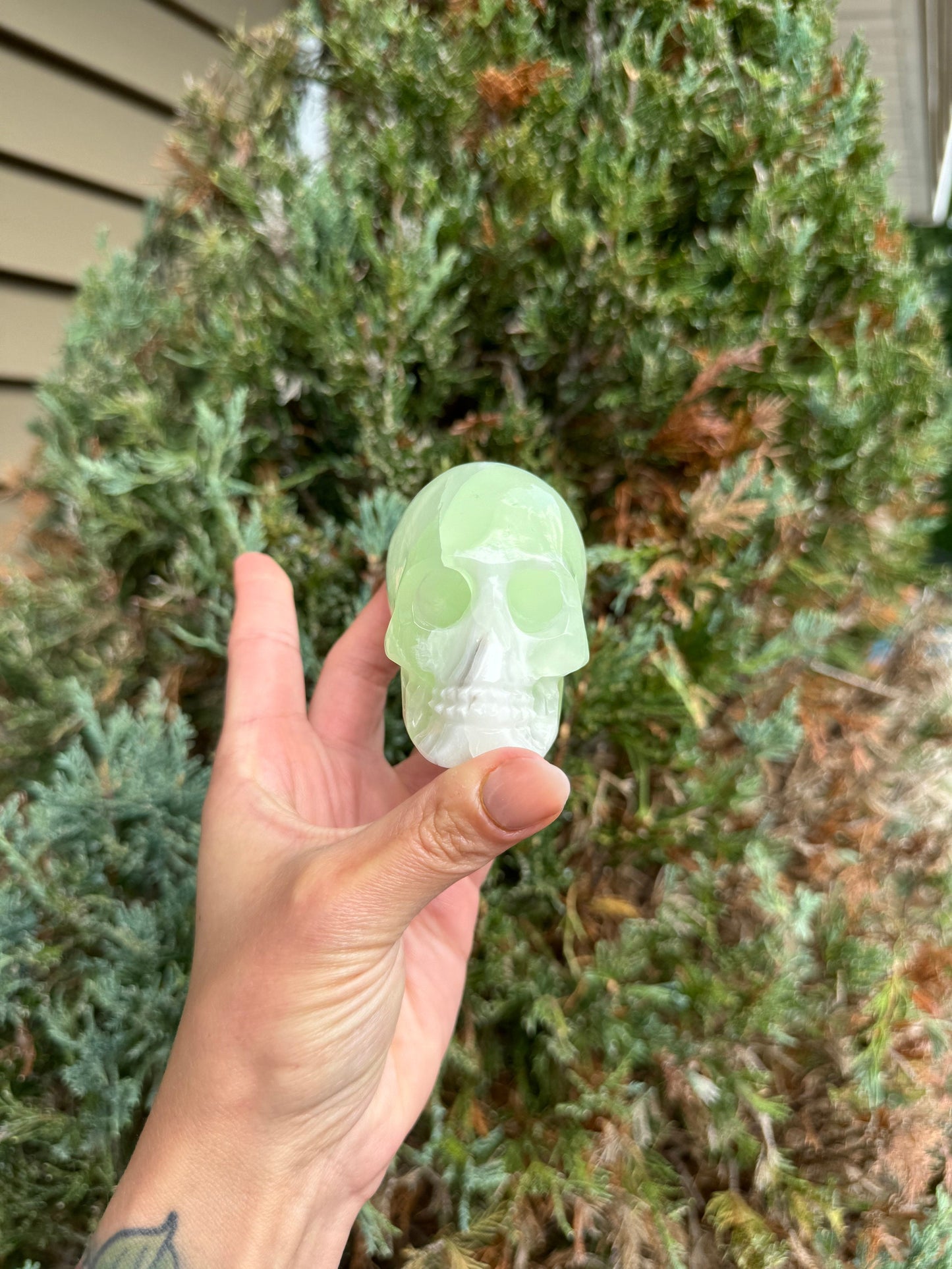 Banded Green Calcite Skull Carving