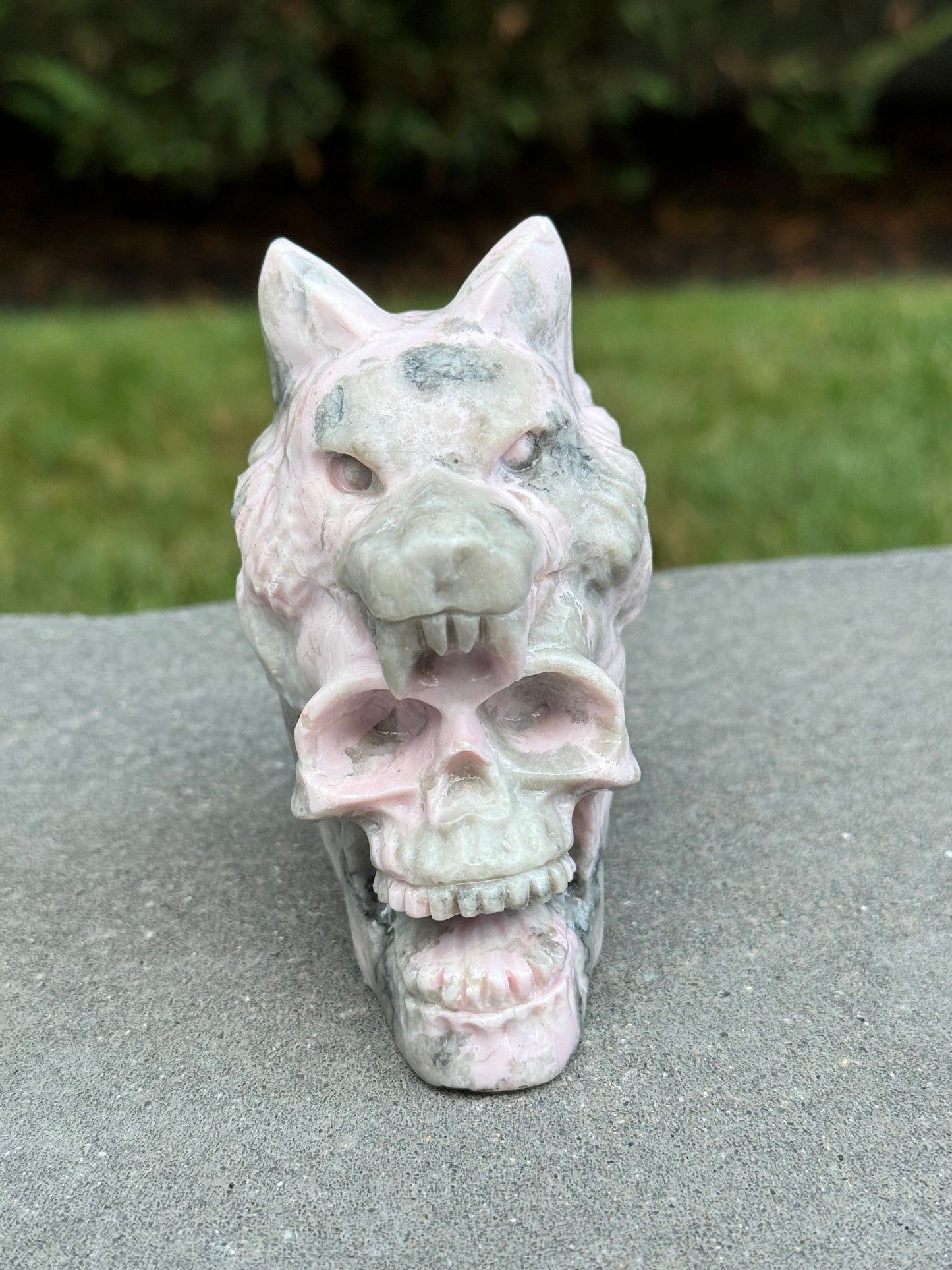 Pink Opal Skull & Wolf Head Carving