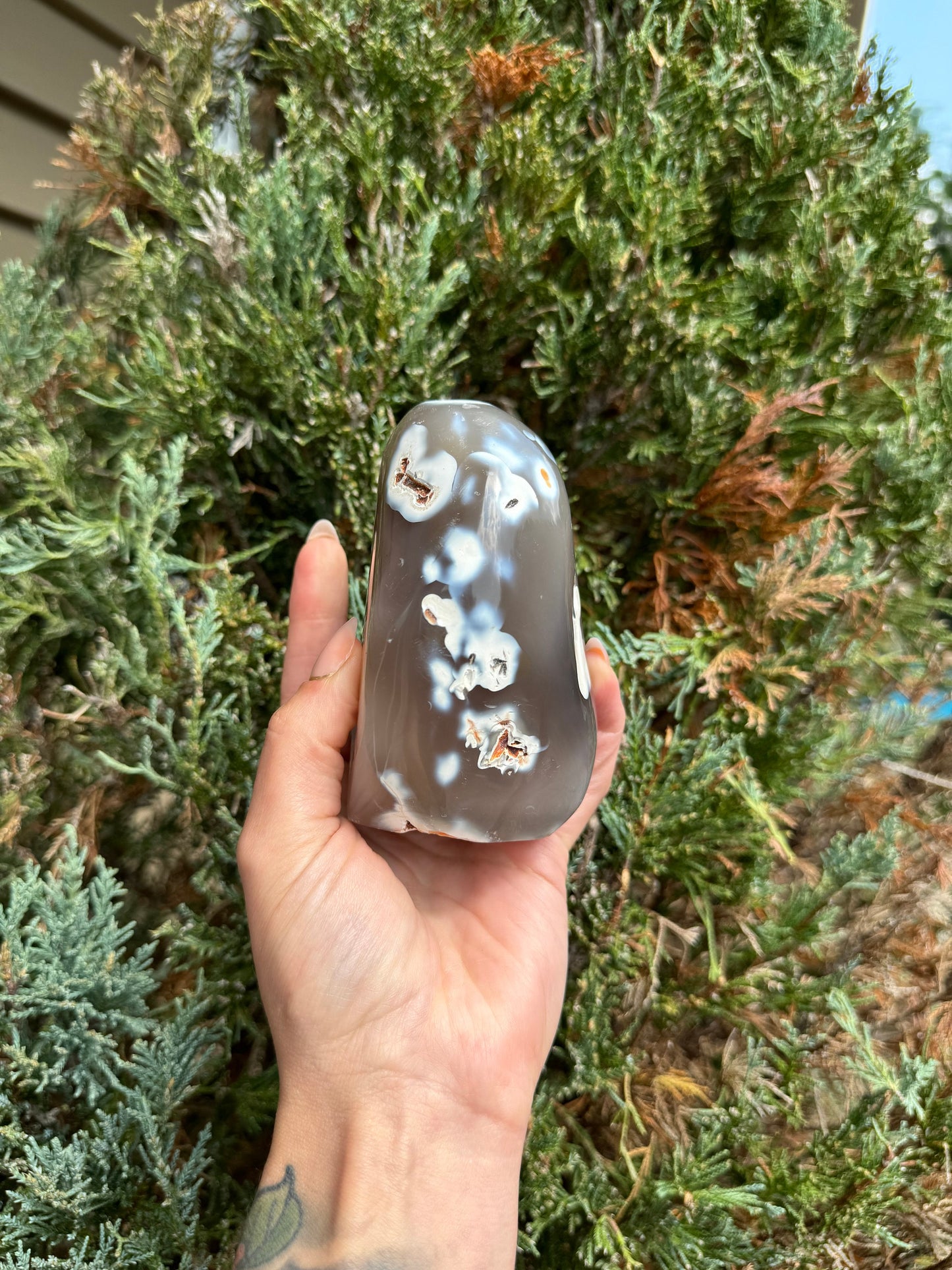 Druzy Orca Agate Freeform