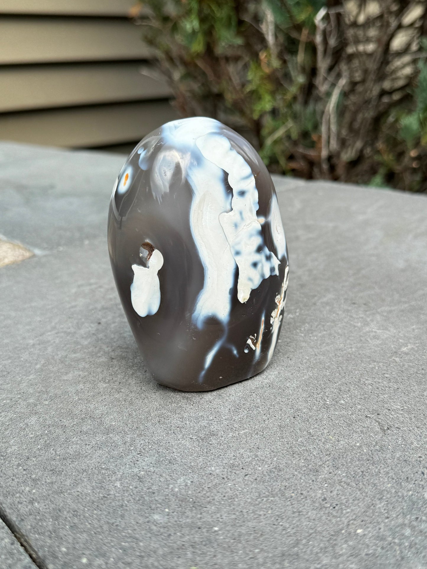 Druzy Orca Agate Freeform