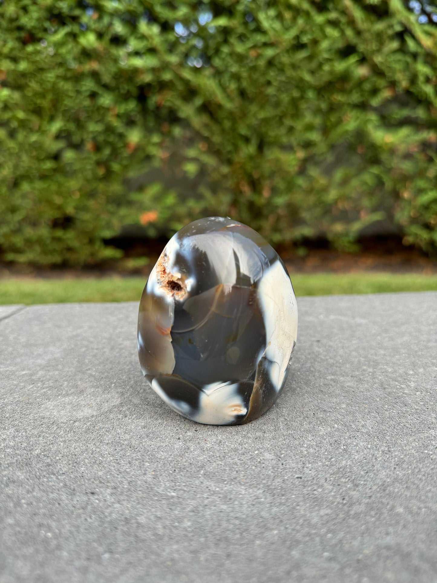 Druzy Orca Agate Freeform