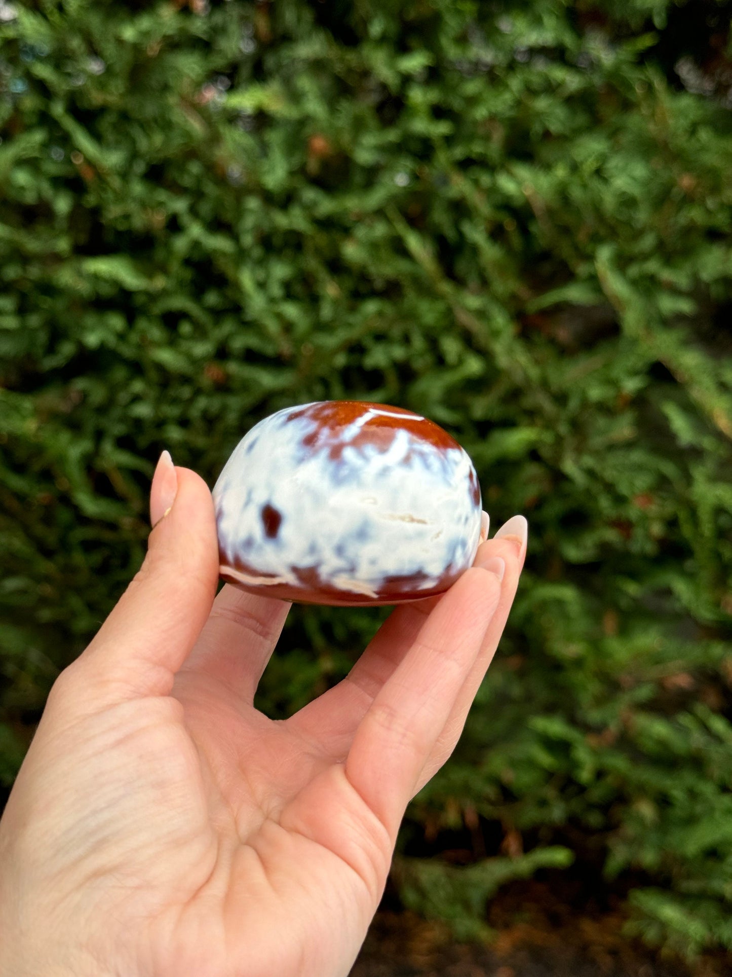 Druzy Orca Agate & Carnelian Freeform