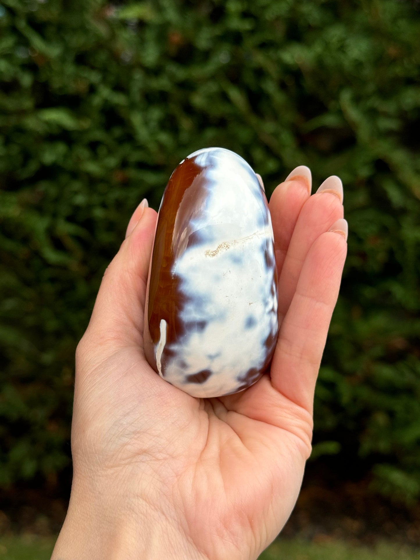 Druzy Orca Agate & Carnelian Freeform