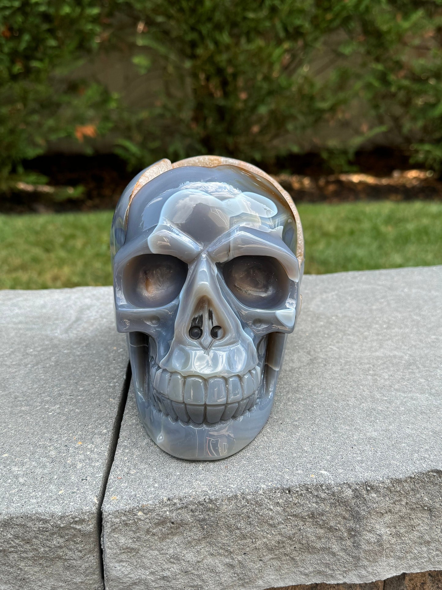 XL Druzy Banded Agate & Amethyst Hi-Def Geode Skull Carving (8")