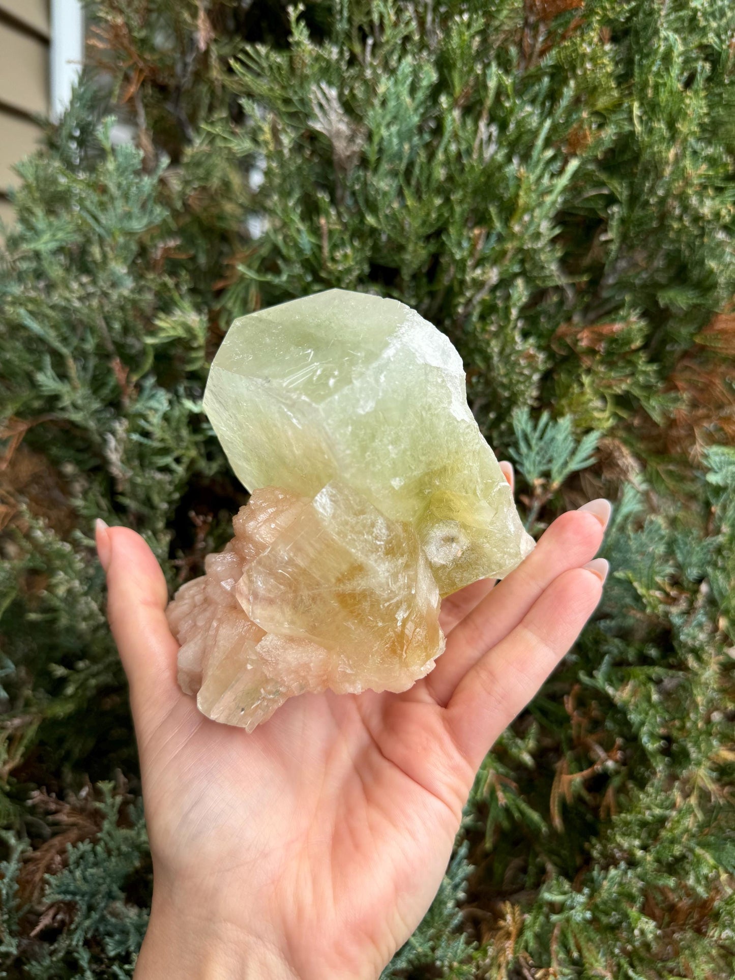 High Quality XL Green Cubic Apophyllite Pink Stilbite Specimen (Maharashtra, India)