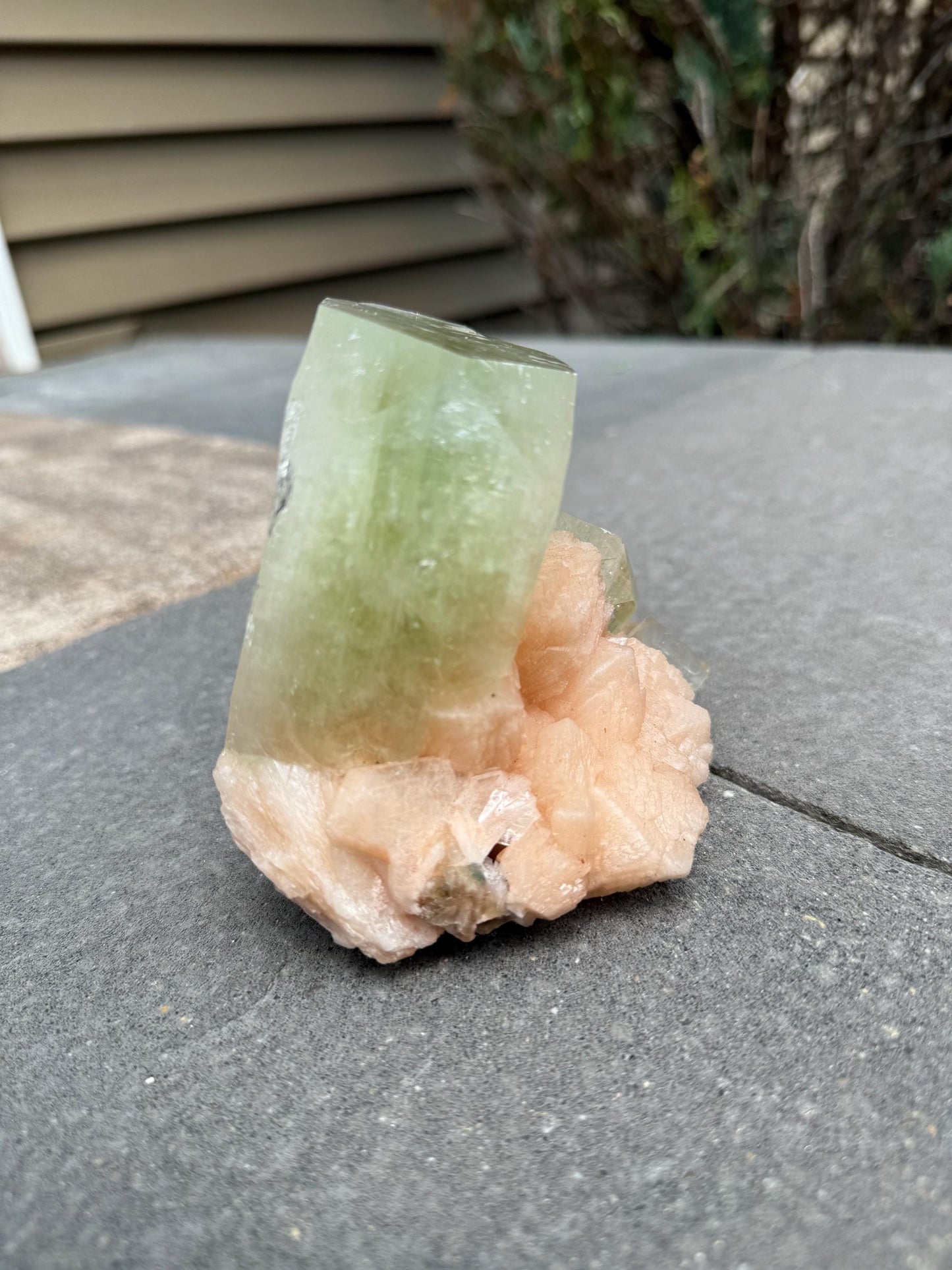 High Quality XL Green Cubic Apophyllite Pink Stilbite Specimen (Maharashtra, India)
