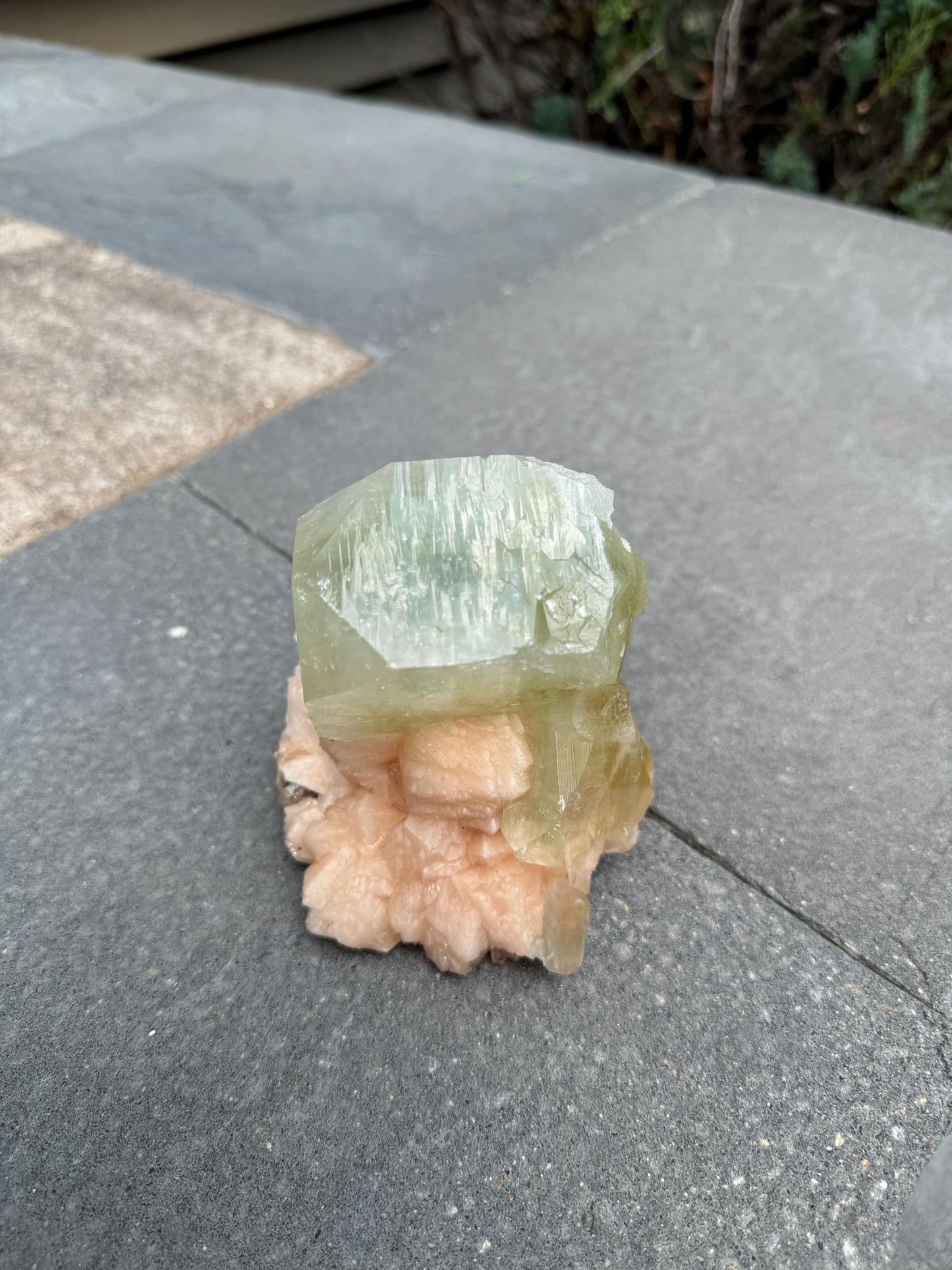High Quality XL Green Cubic Apophyllite Pink Stilbite Specimen (Maharashtra, India)