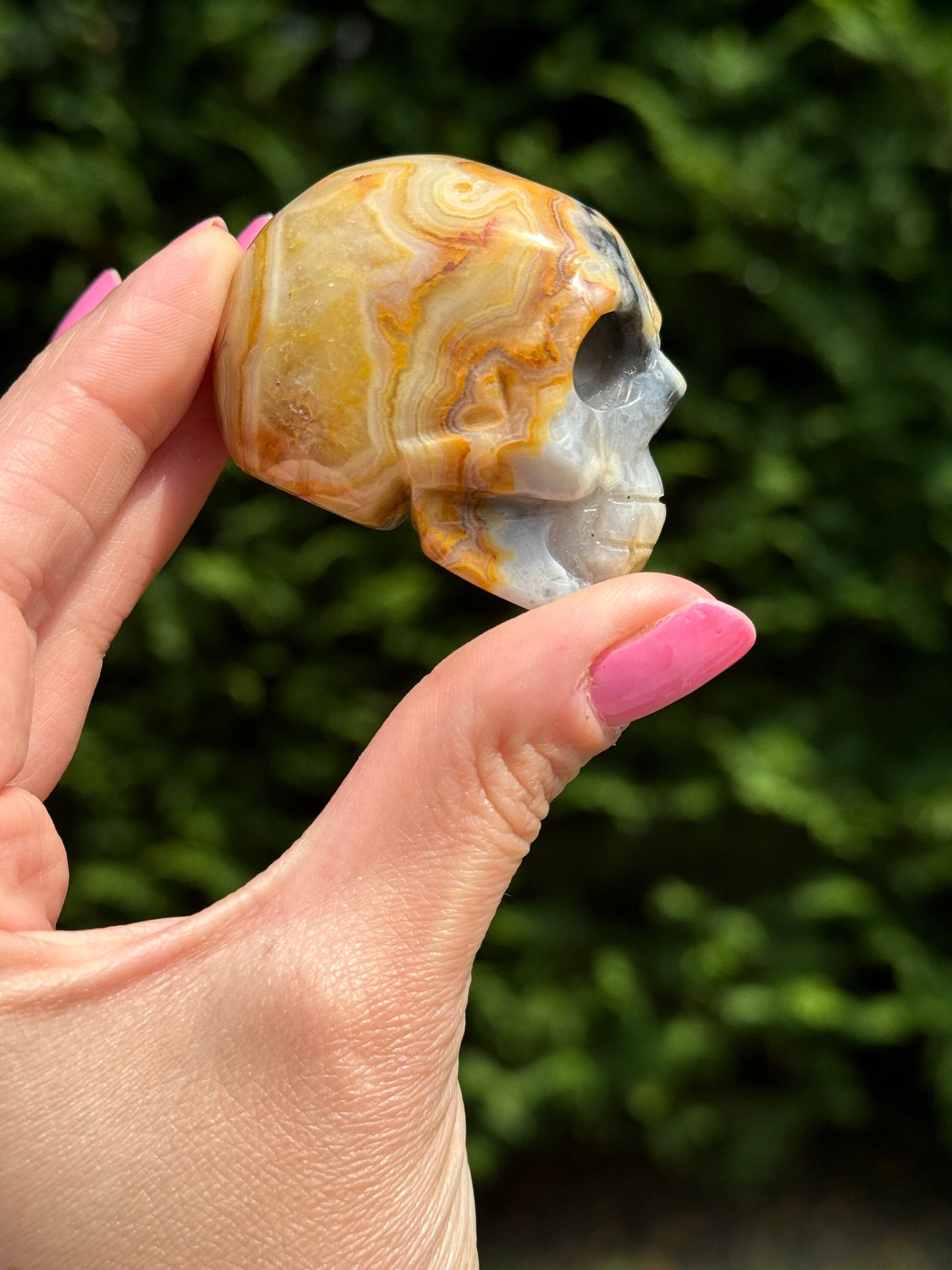 Druzy Crazy Lace Agate Skull