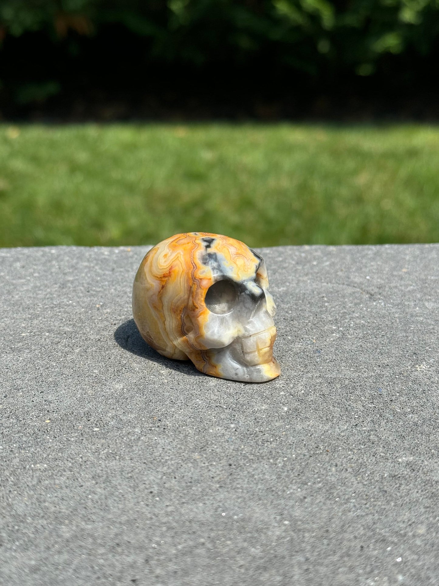 Druzy Crazy Lace Agate Skull