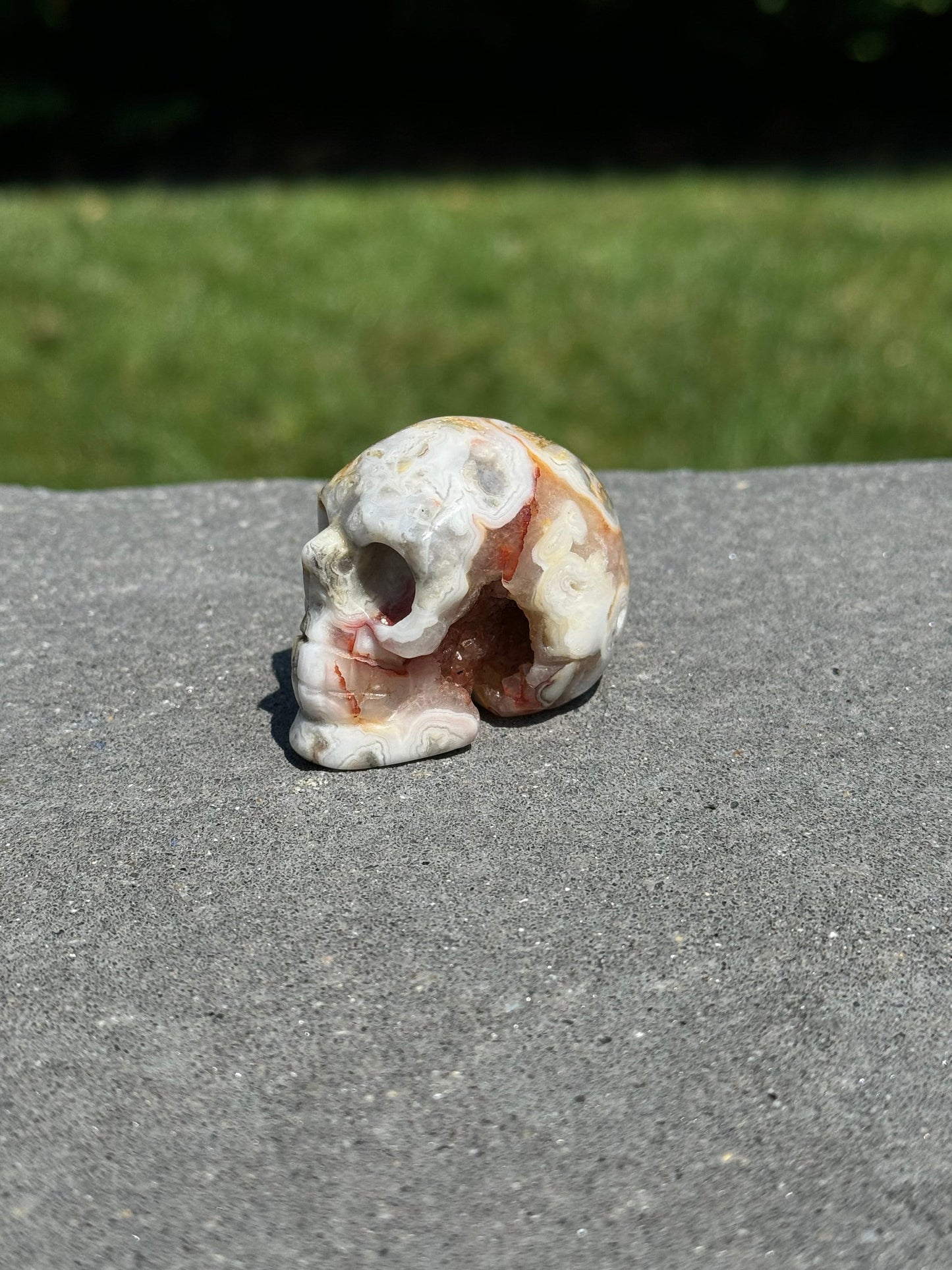 Druzy Crazy Lace Agate Skull