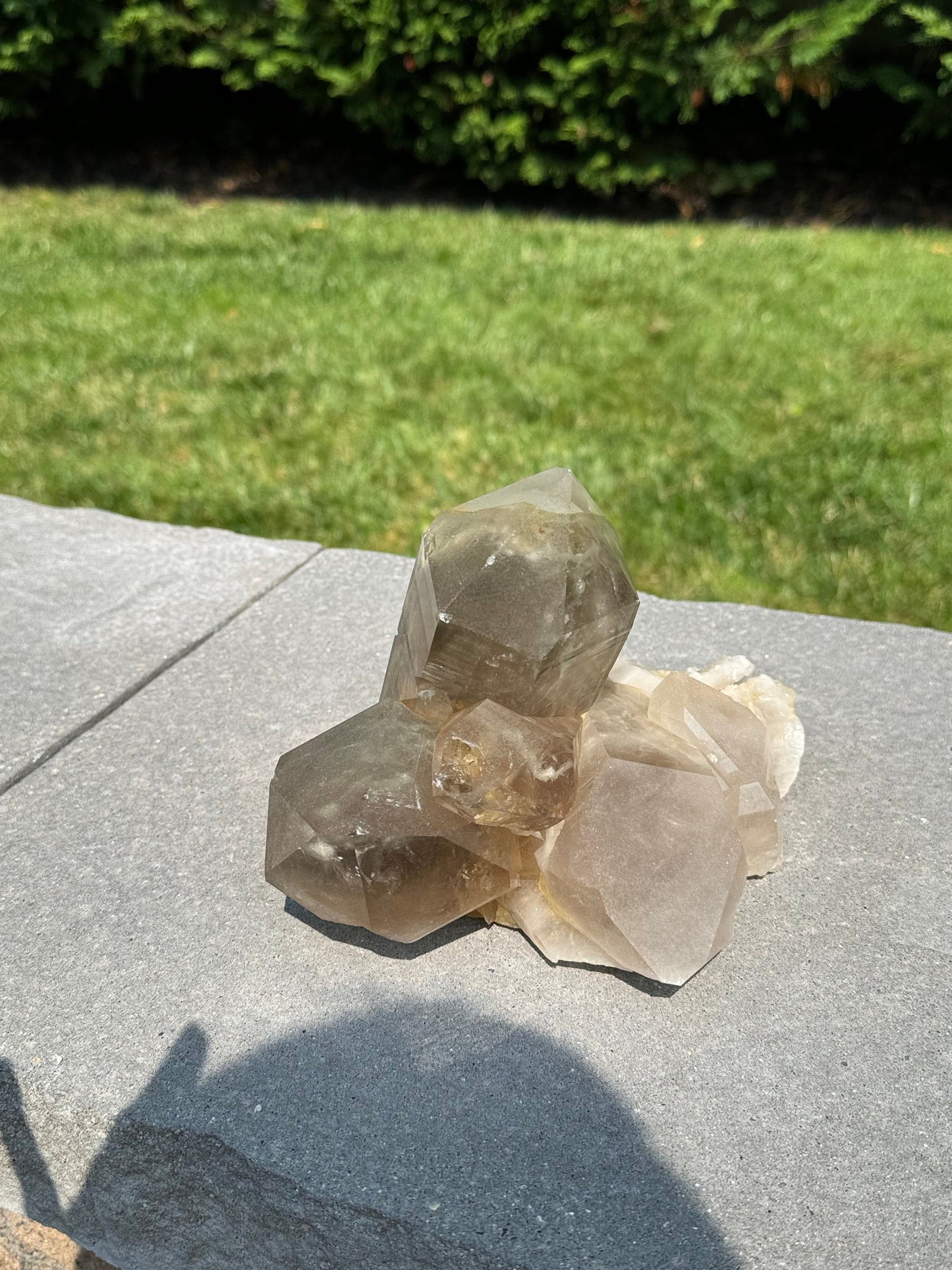 XL Included Himalayan Quartz Cluster (Kullu District, India)