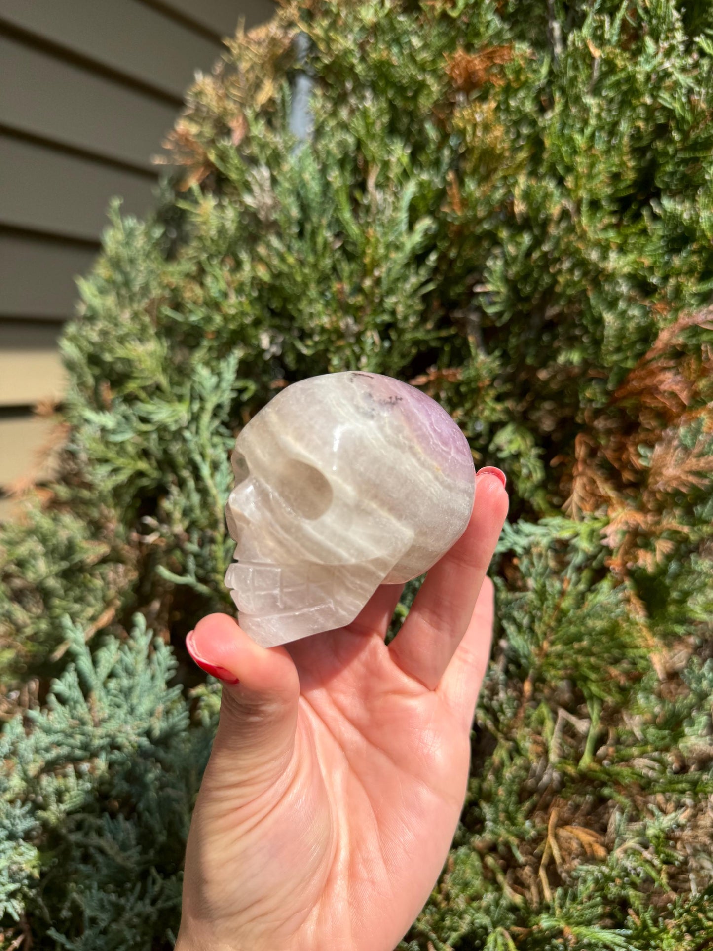 Pastel Lavender Dendritic Fluorite Skull Carving (2.73")
