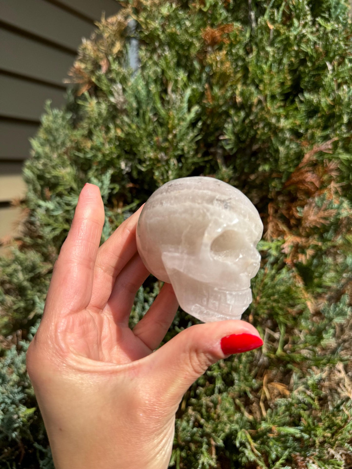Pastel Lavender Dendritic Fluorite Skull Carving (2.73")