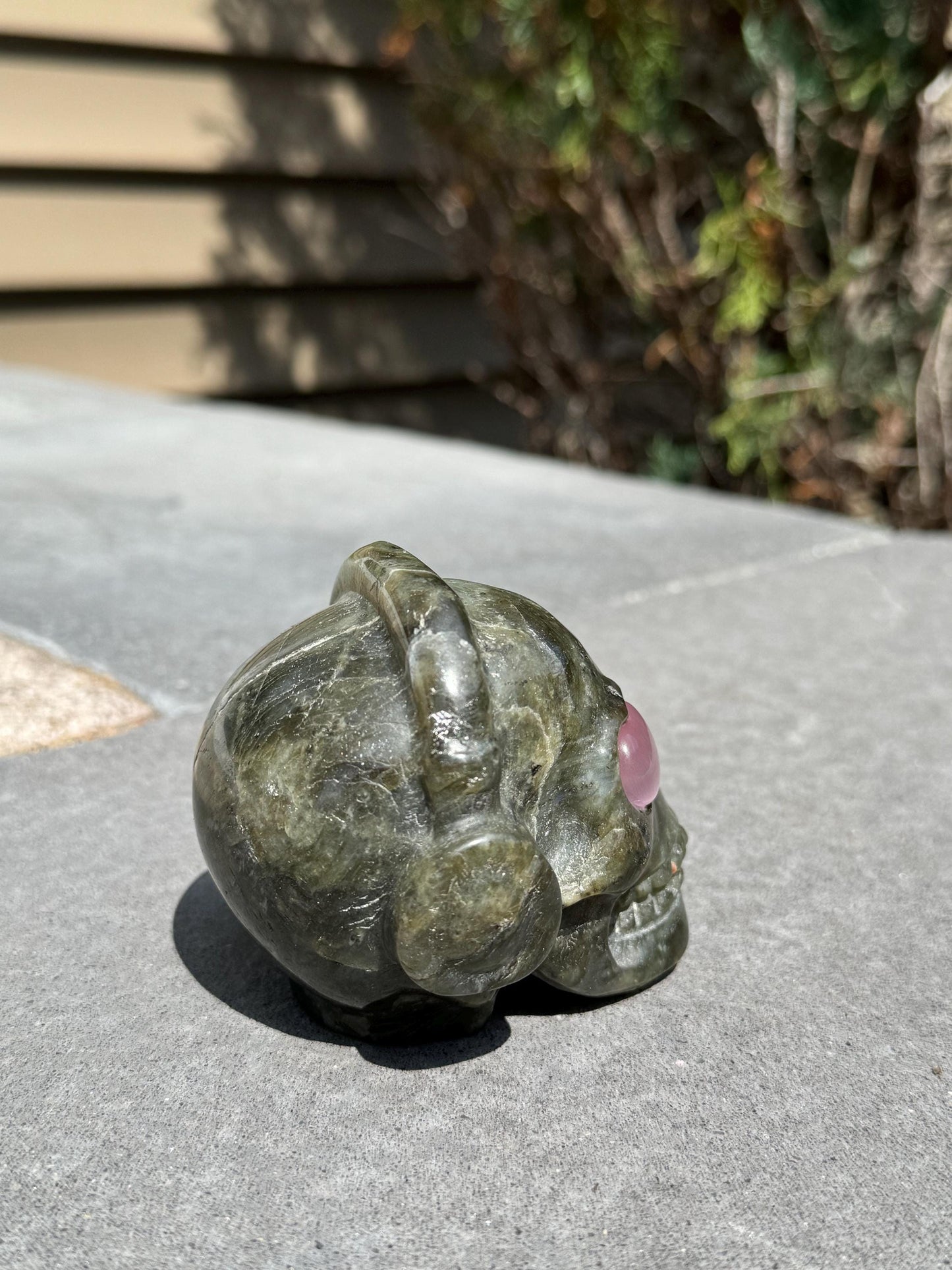 Labradorite Skull Carving w/ Pink Cats Eye Accents