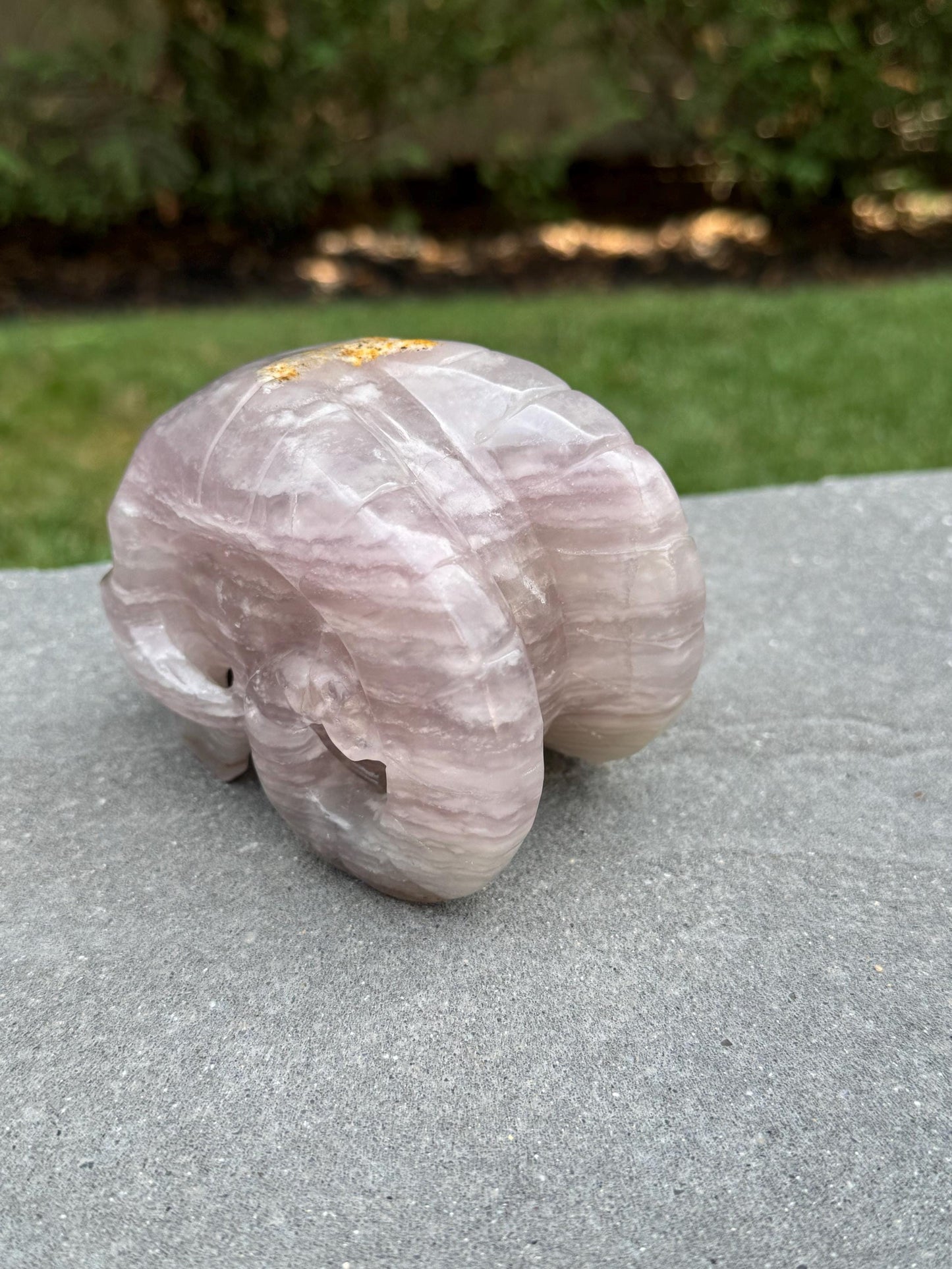 XL Pastel Lavender Dendritic Fluorite Horned Skull Carving (5")