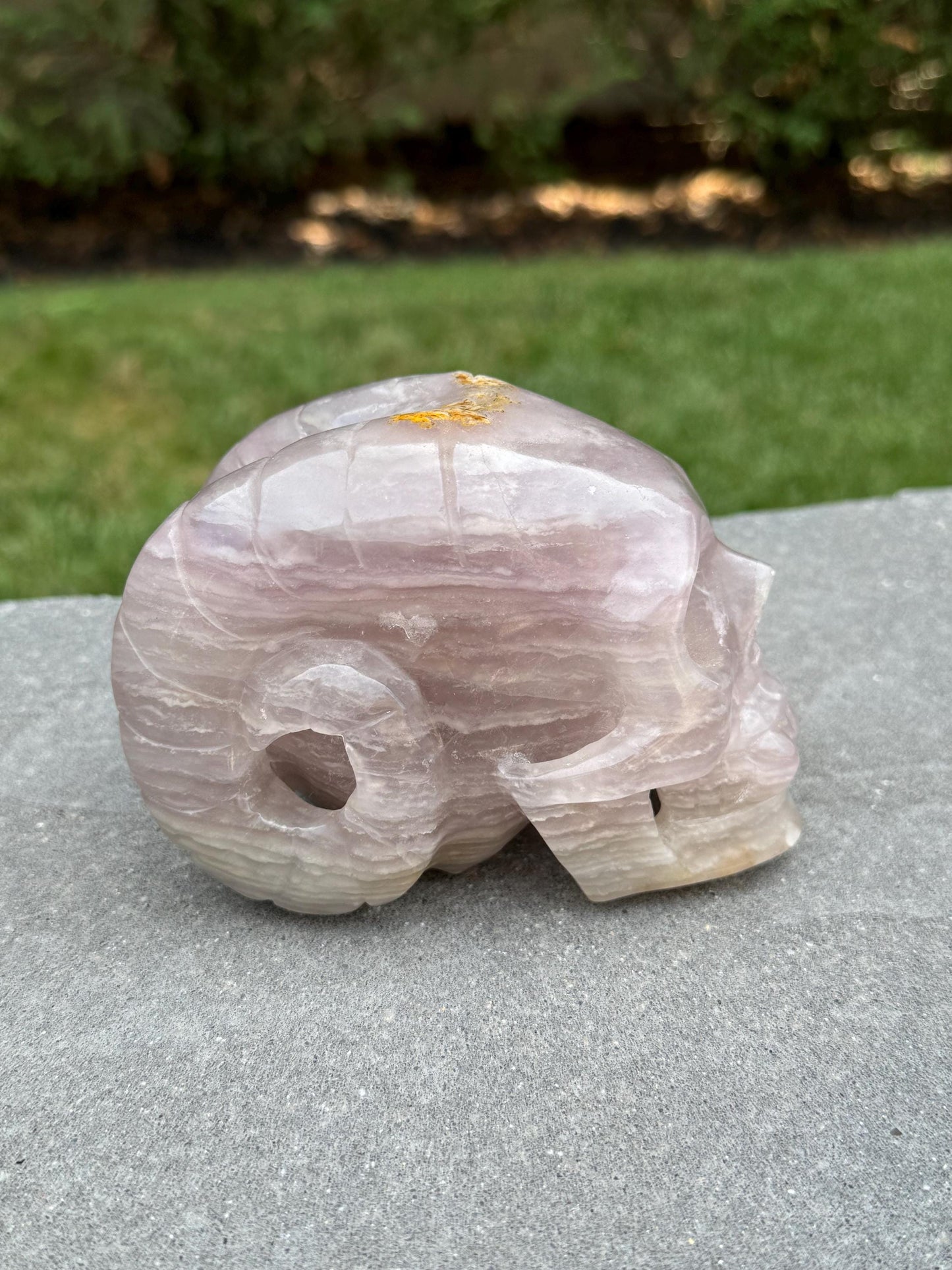 XL Pastel Lavender Dendritic Fluorite Horned Skull Carving (5")