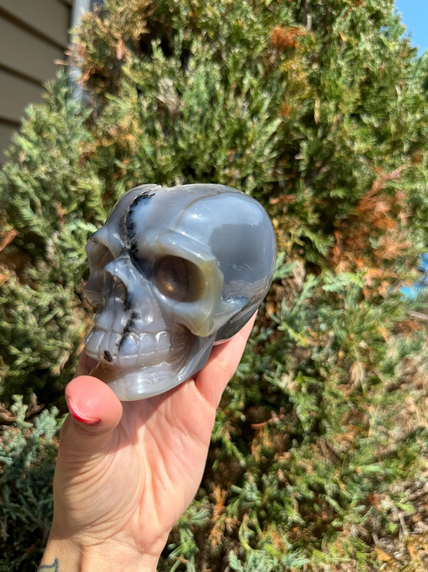 Banded Dendritic Druzy Agate Skull Carving (3.88")