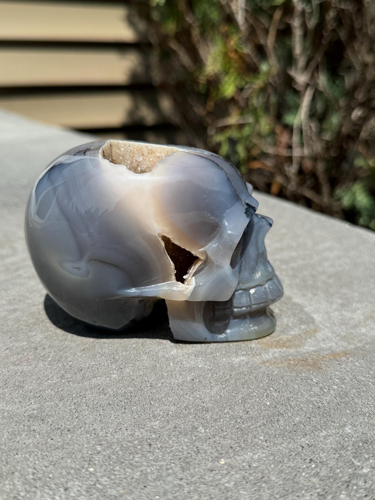 Banded Dendritic Druzy Agate Skull Carving (3.88")