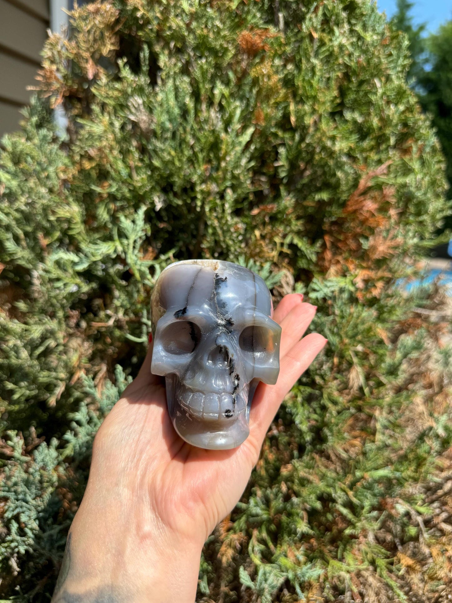 Banded Dendritic Druzy Agate Skull Carving (3.88")