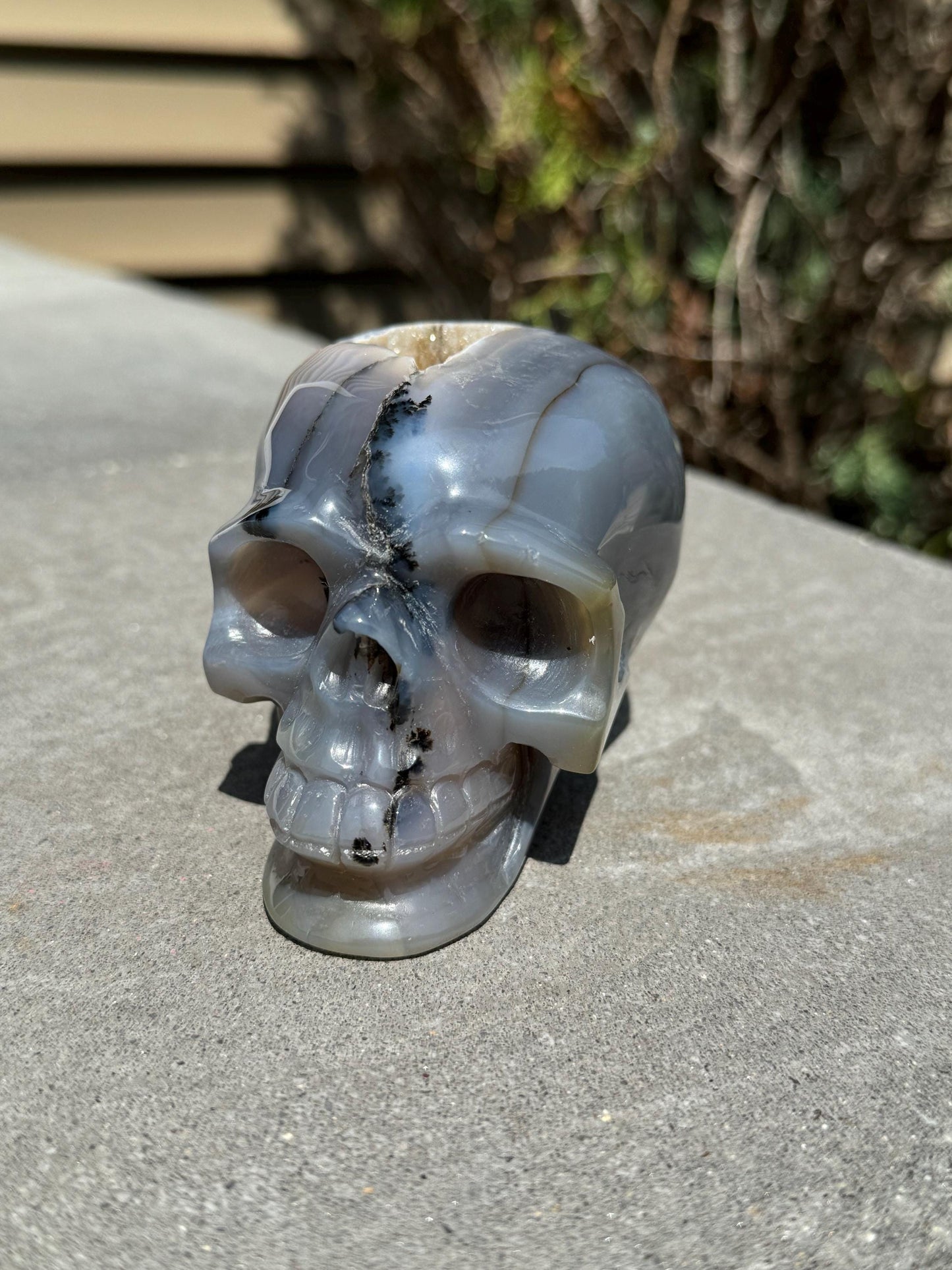 Banded Dendritic Druzy Agate Skull Carving (3.88")