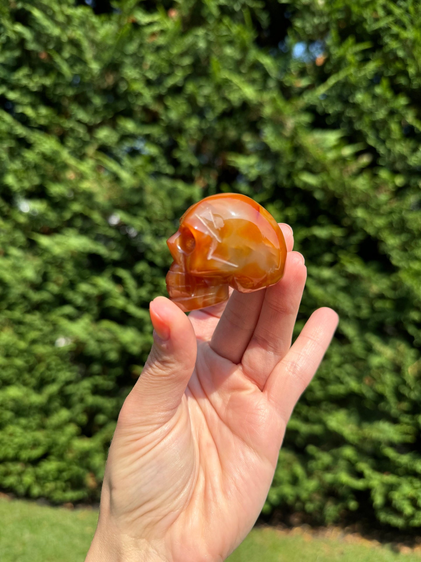 Banded Carnelian Skull Carving