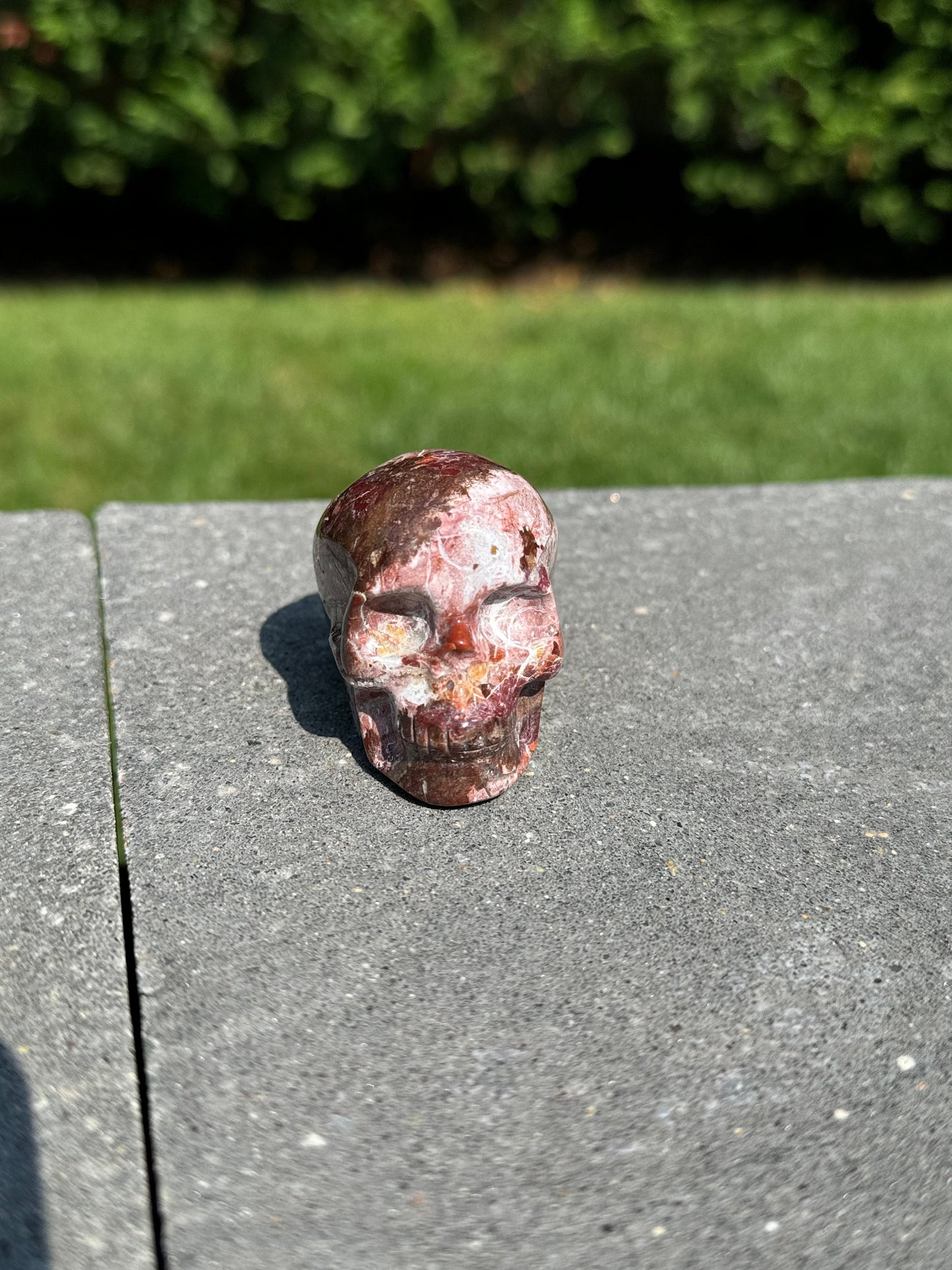 Druzy Mexican Crazy Lace Agate Skull
