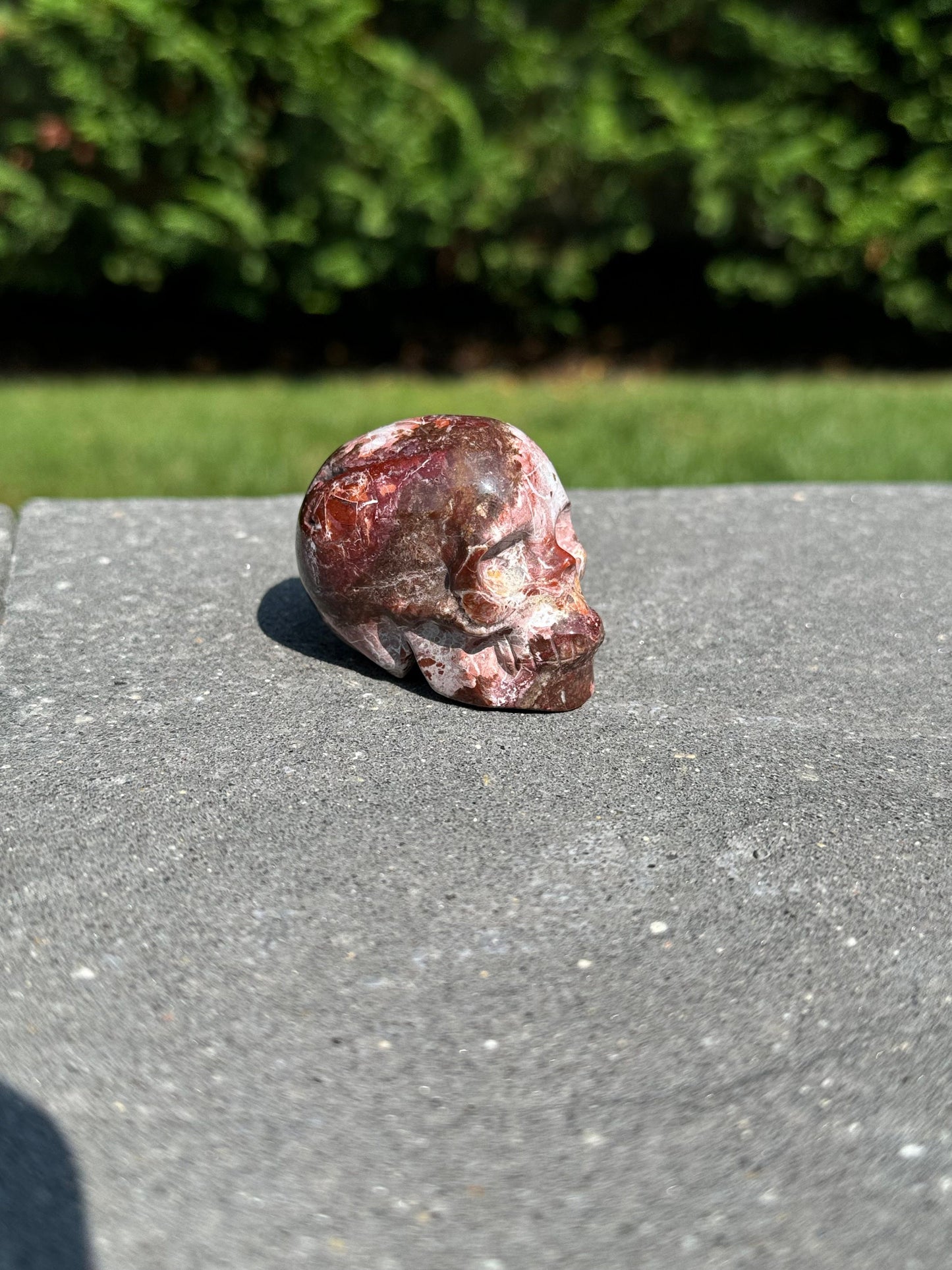 Druzy Mexican Crazy Lace Agate Skull