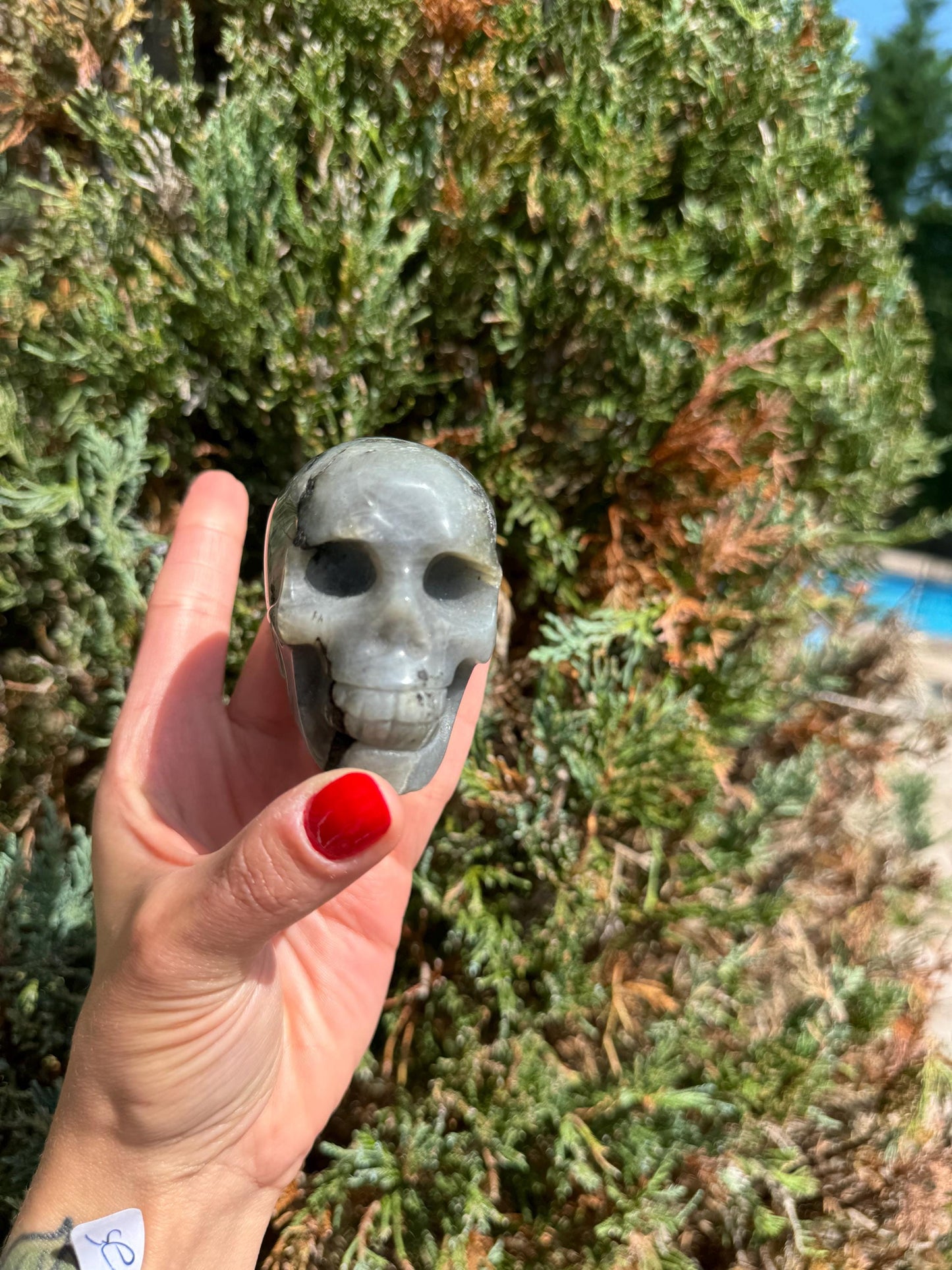 Labradorite Skull Carving