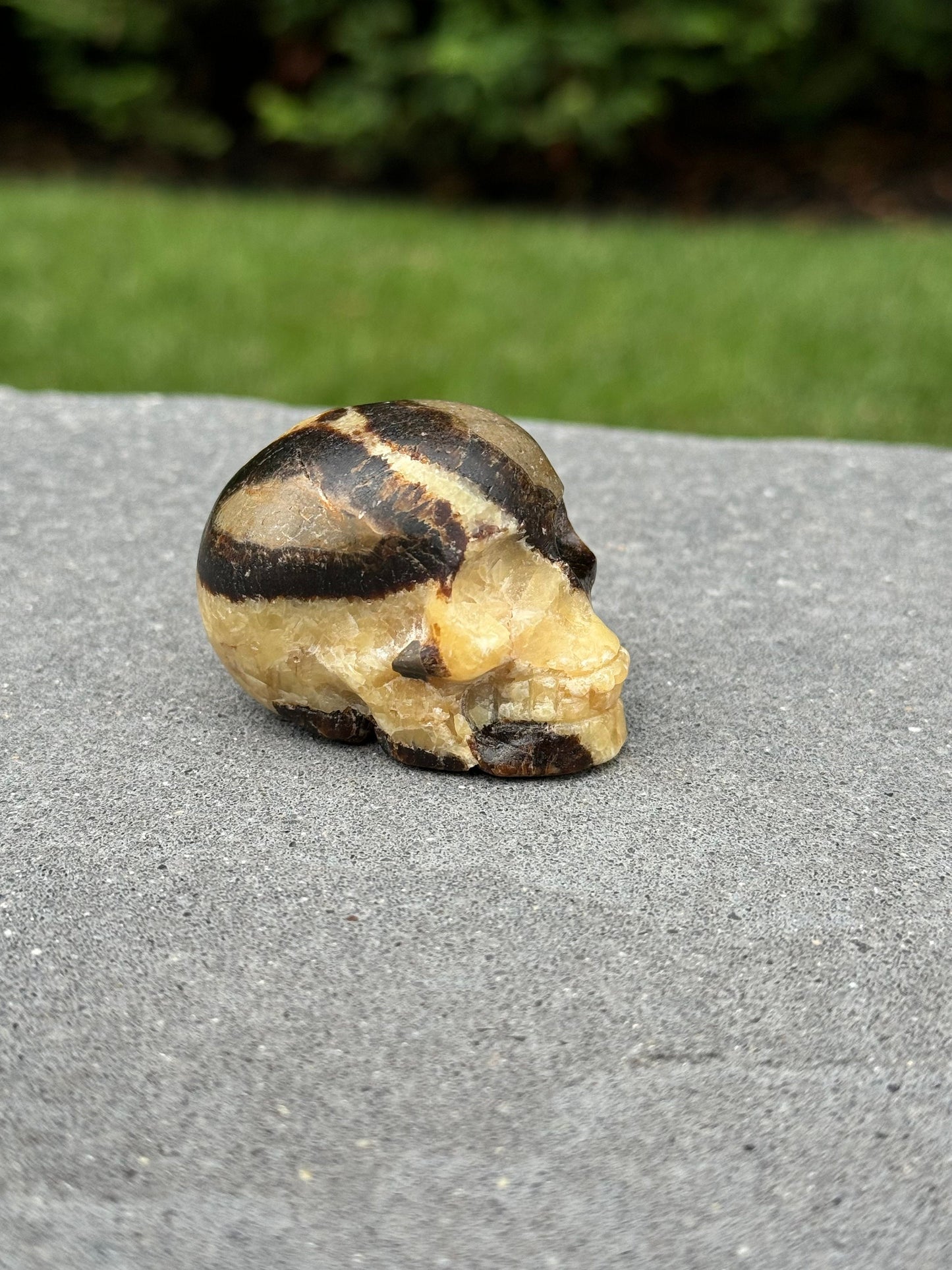 Septarian Skull Carving (2.15")