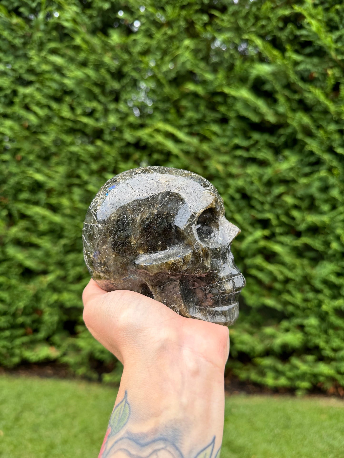 Flashy Labradorite Skull Carving (4.64")