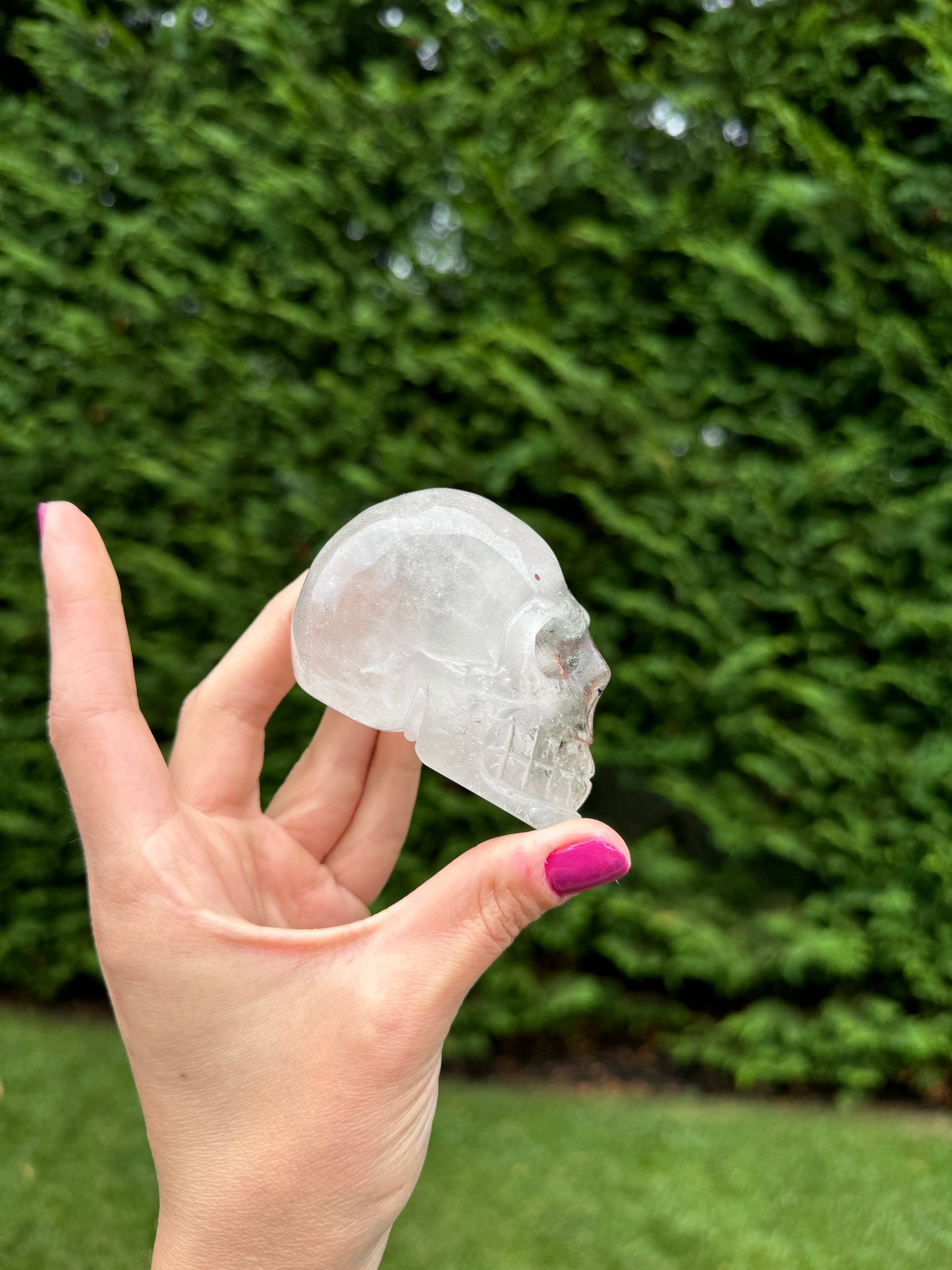Garden Quartz Crystal Skull