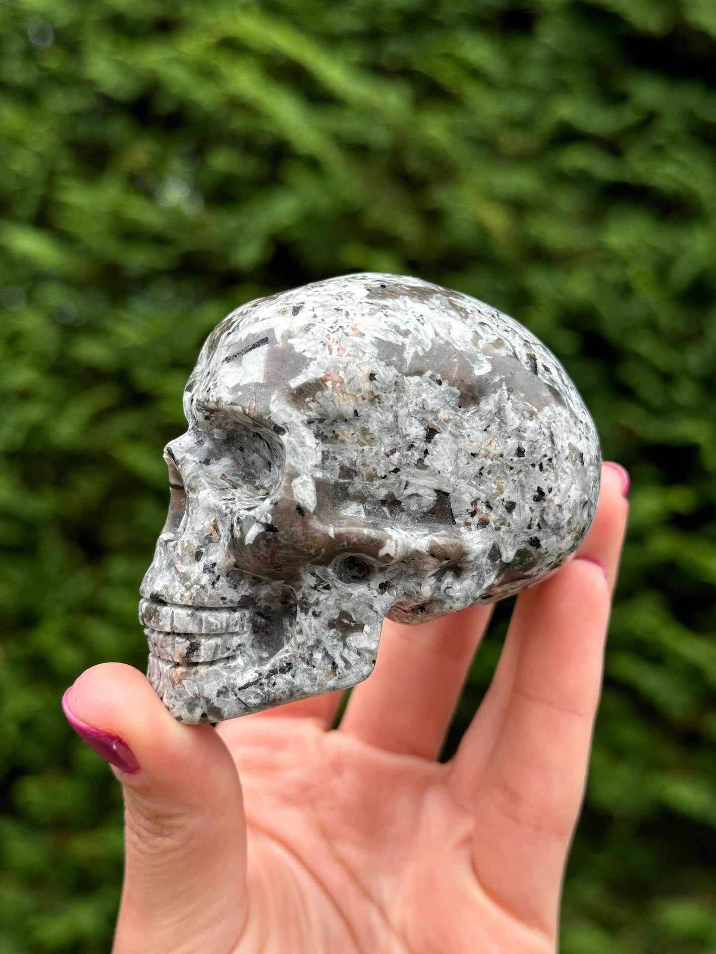 Yooperlite Skull Carving (3")