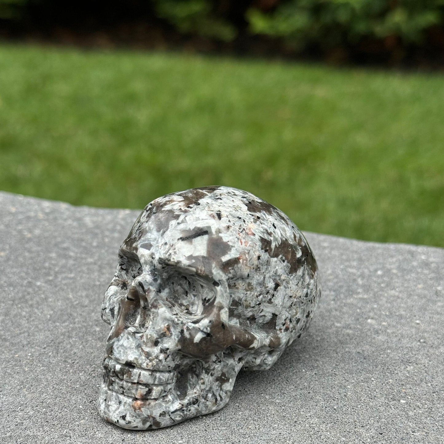 Yooperlite Skull Carving (3")