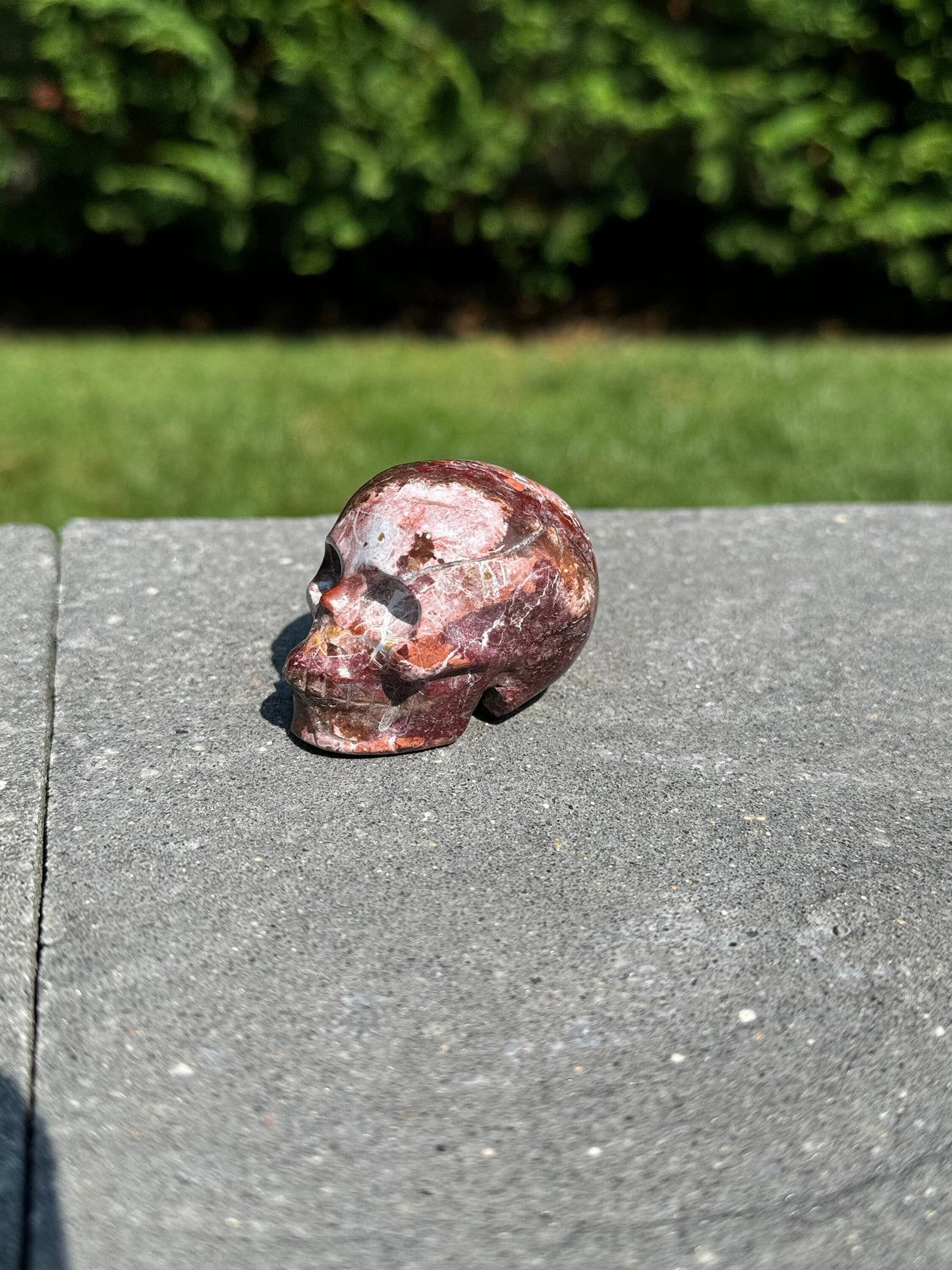 Druzy Mexican Crazy Lace Agate Skull