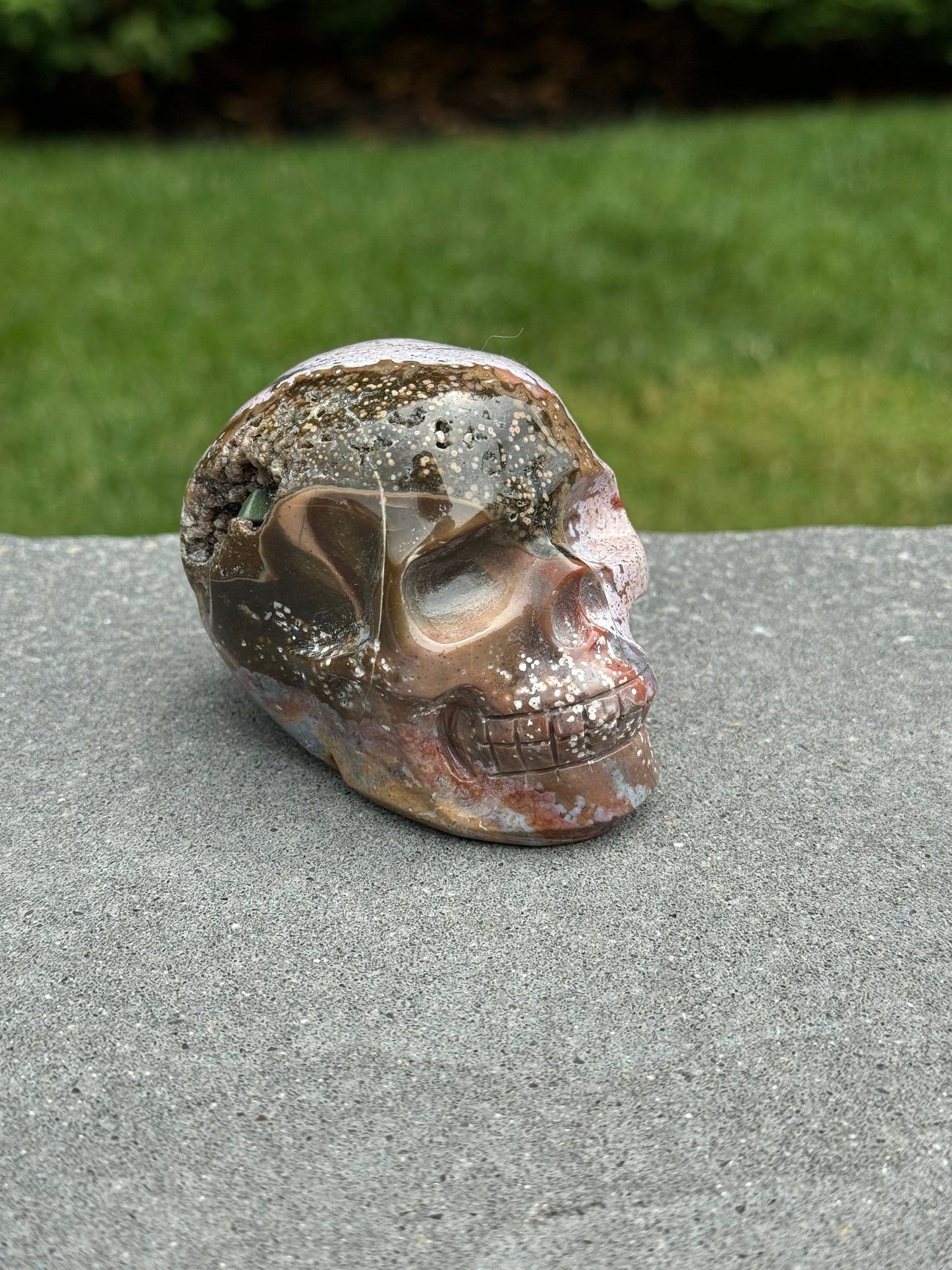Druzy Ocean Jasper Skull Carving (3.18")