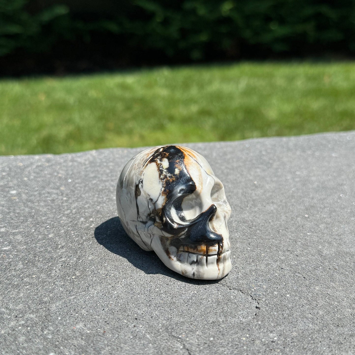 Chocolate Calcite Skull Carving