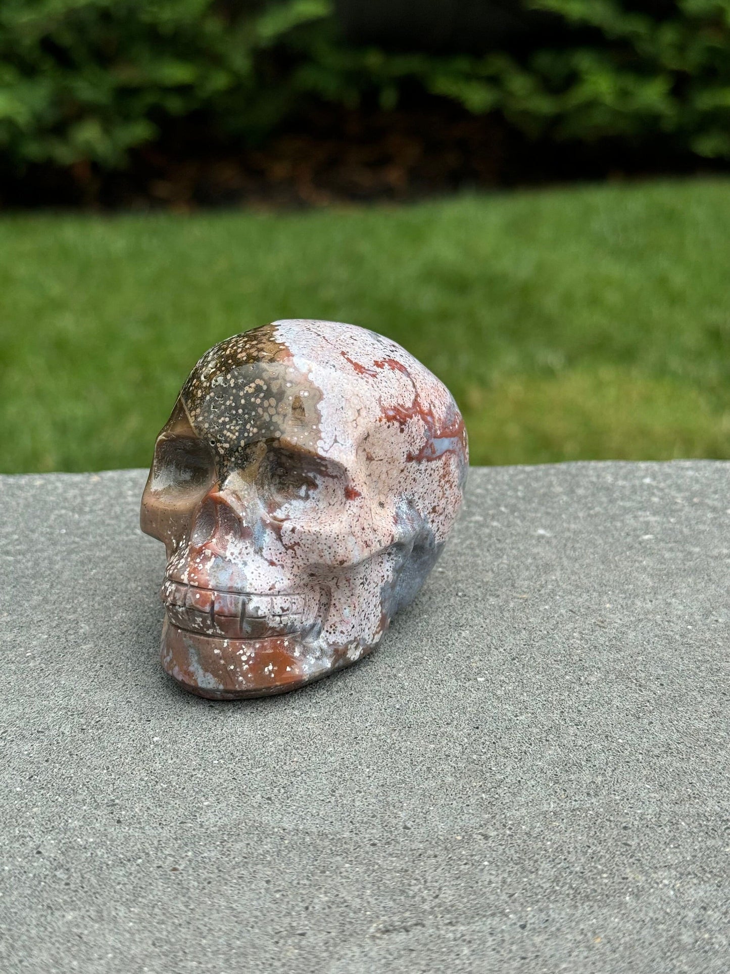 Druzy Ocean Jasper Skull Carving (3.18")