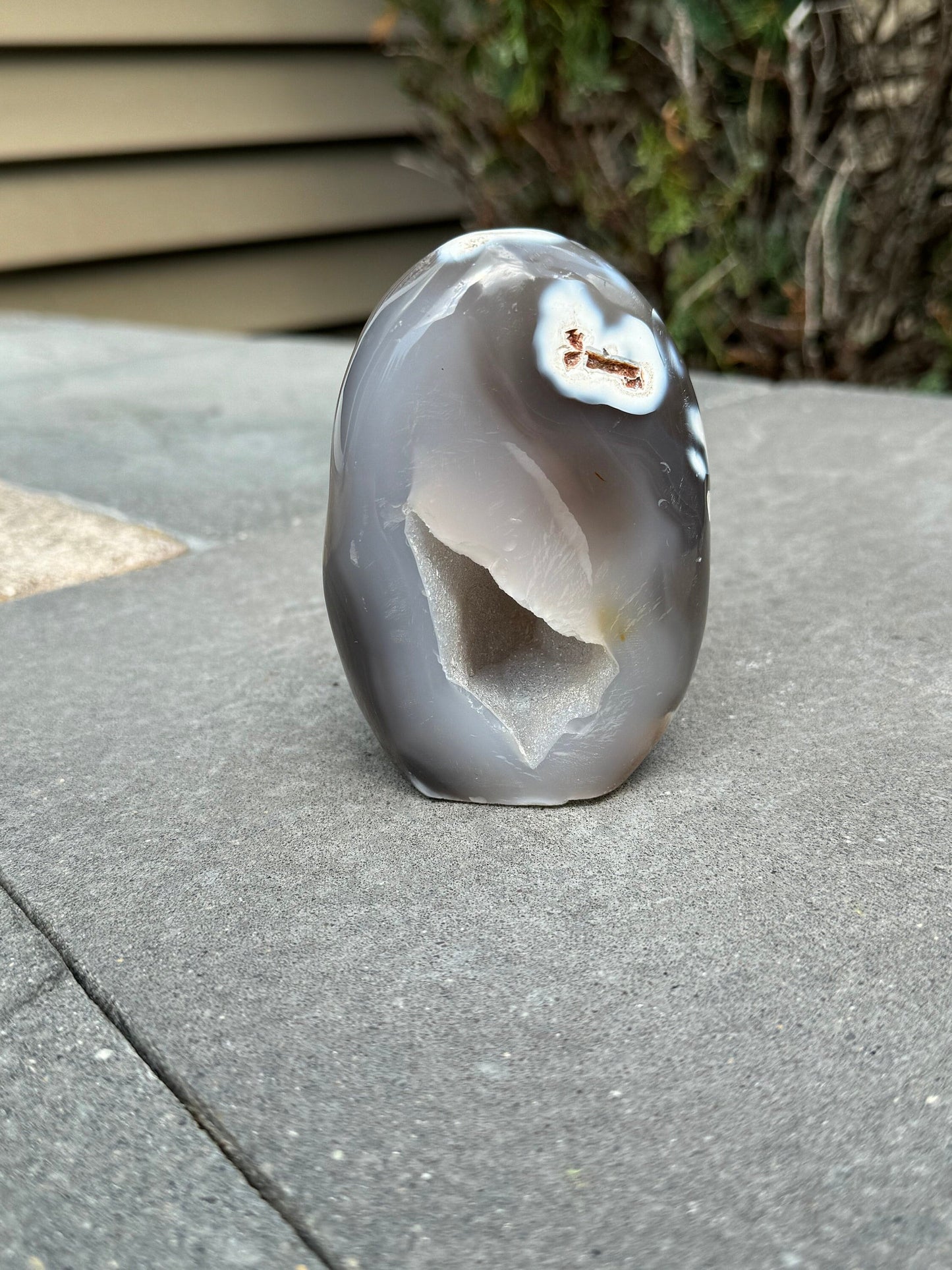 Druzy Orca Agate Freeform
