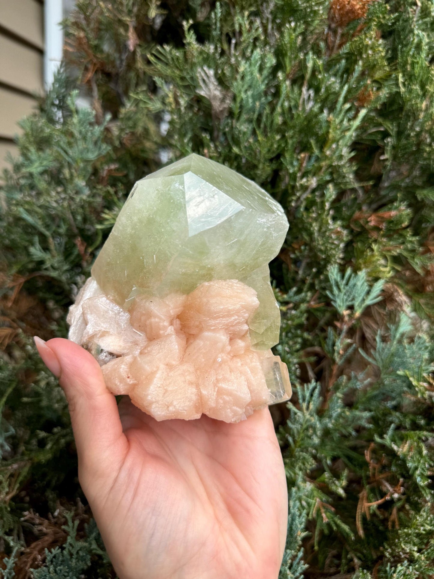 High Quality XL Green Cubic Apophyllite Pink Stilbite Specimen (Maharashtra, India)