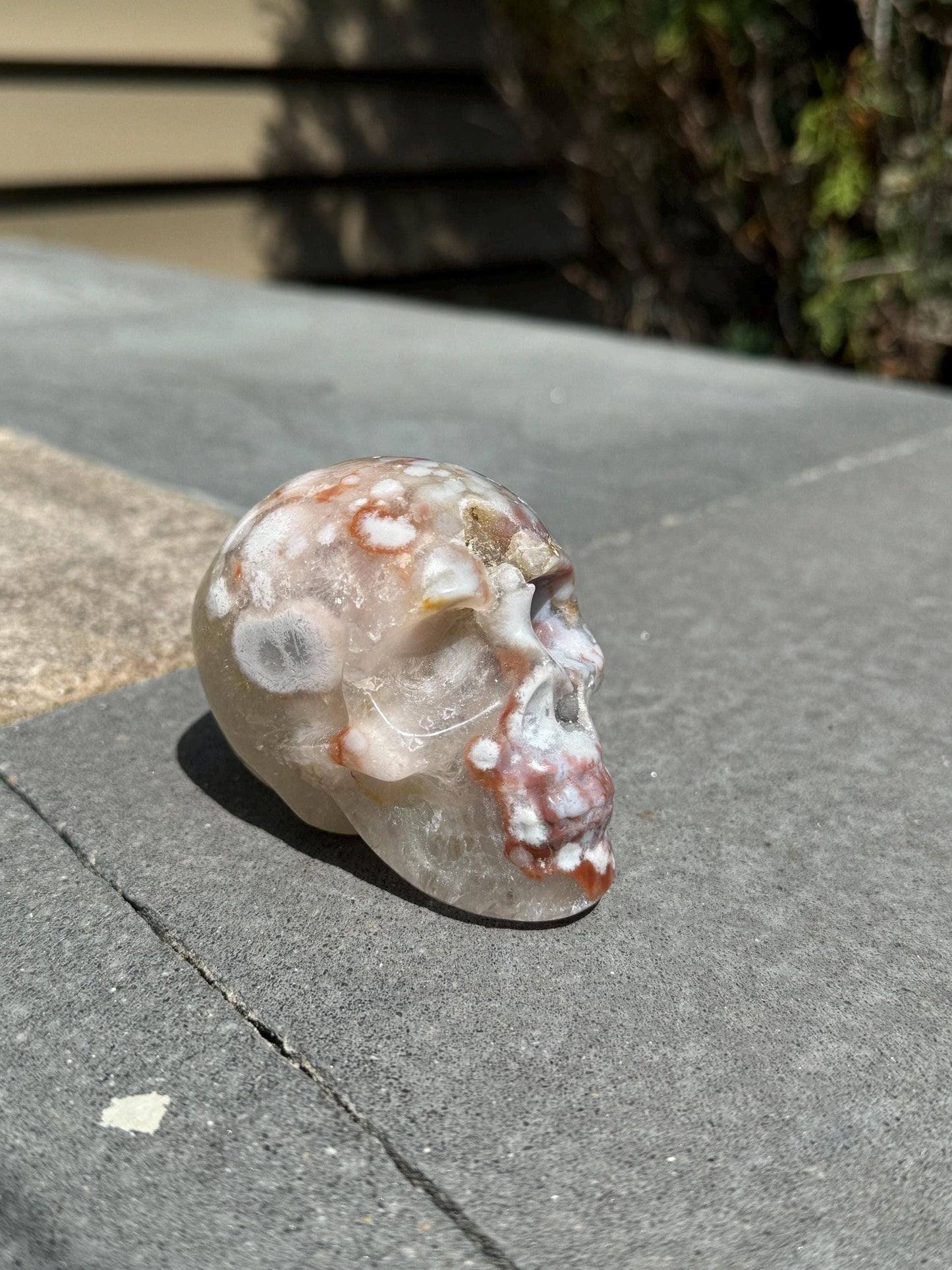 Druzy Cherry Blossom Flower Agate Skull Carving