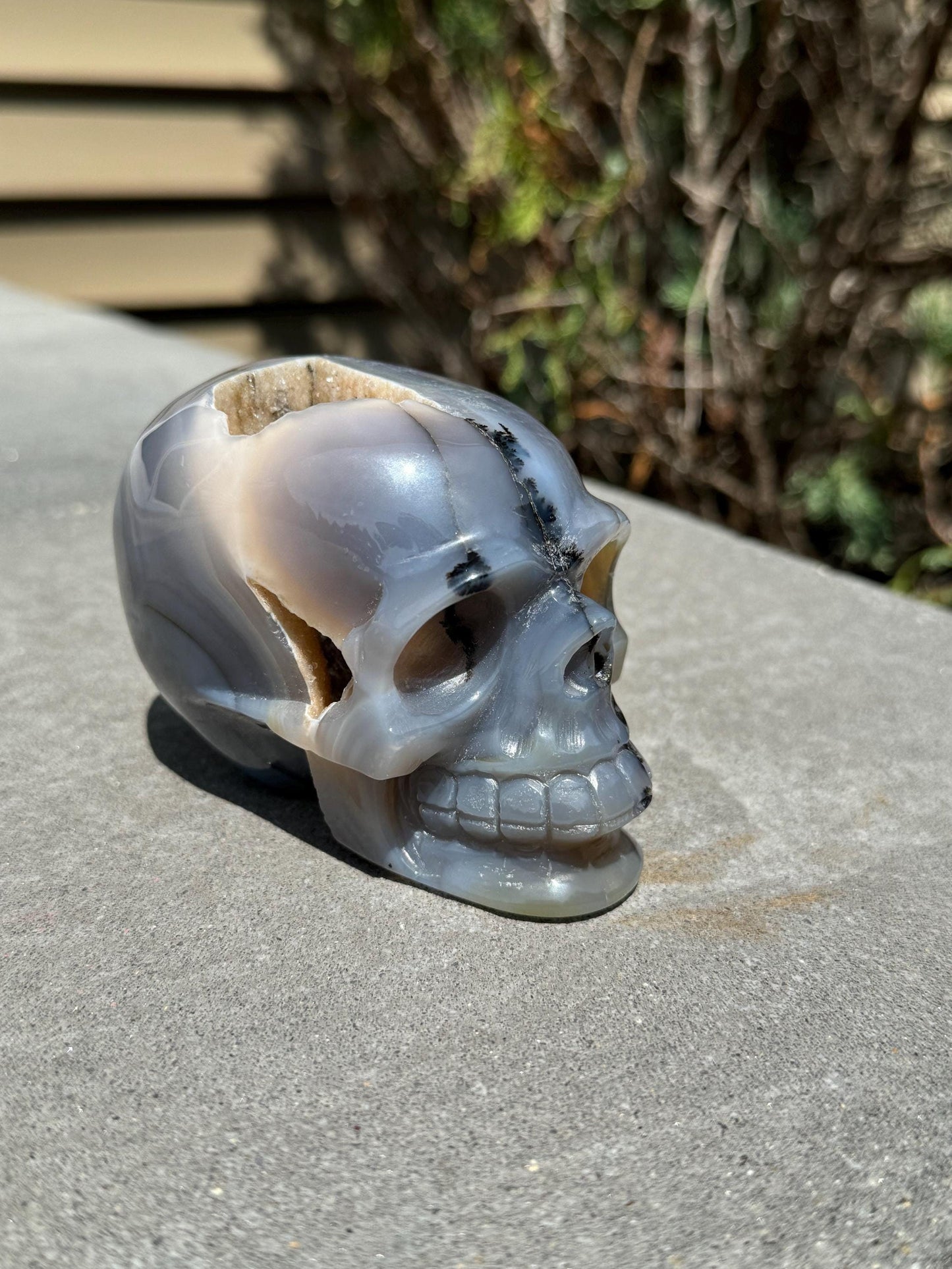 Banded Dendritic Druzy Agate Skull Carving (3.88")